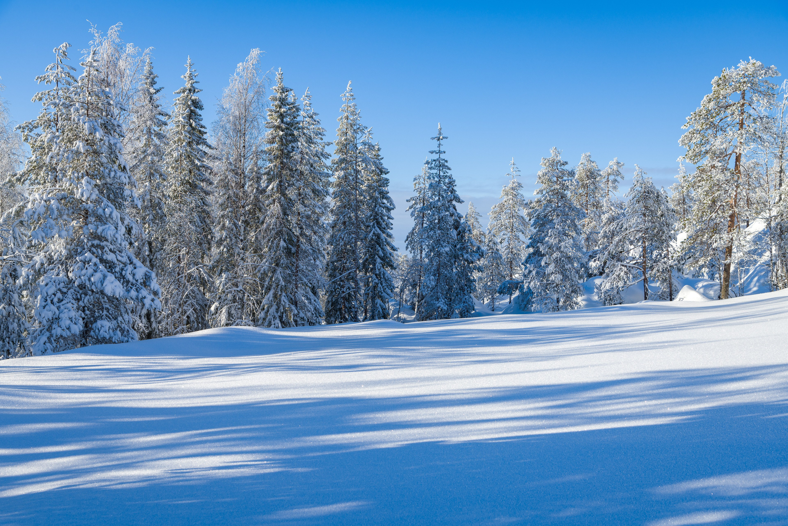 Зима. Северные Ночи