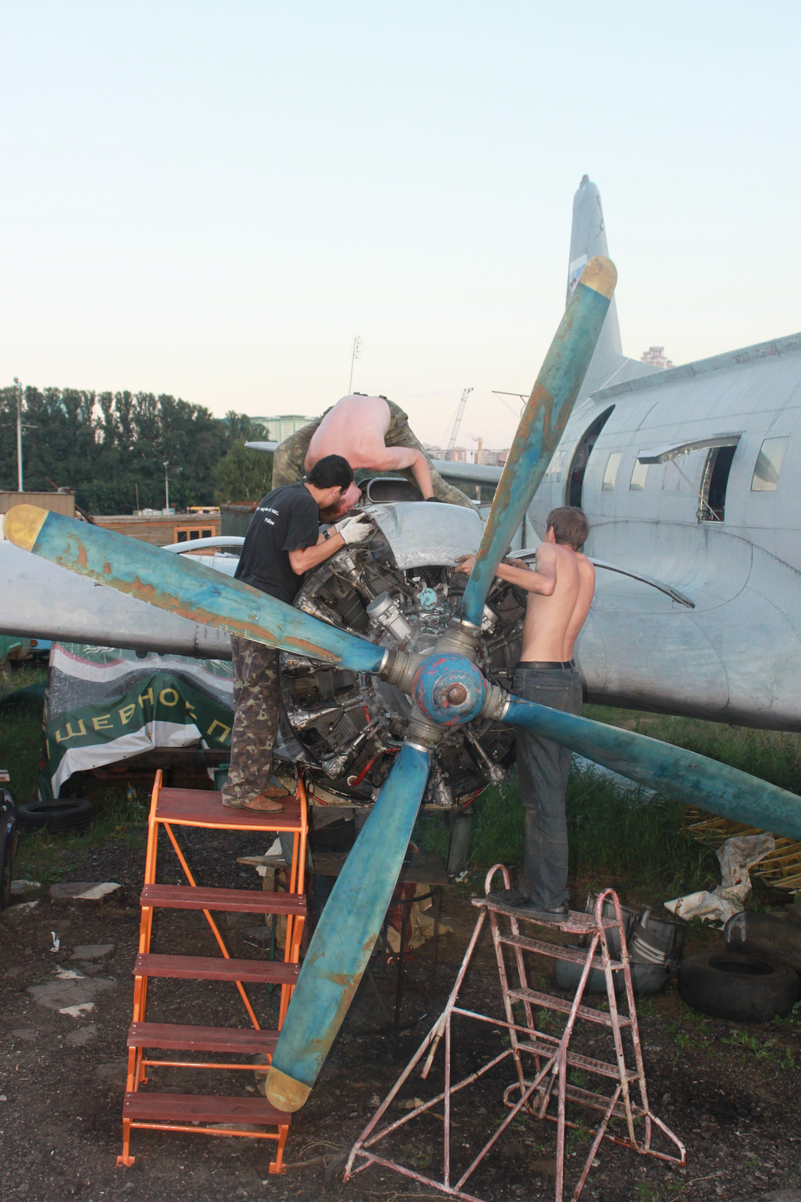 Ил-14Т «Голубая Мечта» работы в Тушино (2011 г.). Фотоальбом показывающий увлекательный мир авиации и мир медведей Андрея Иванова