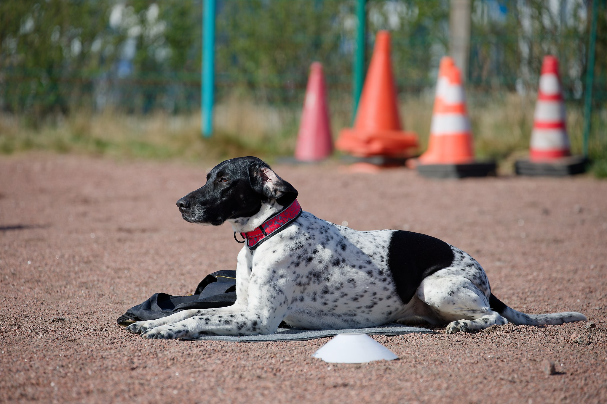 Турнир «Место». Irenephoto.ru