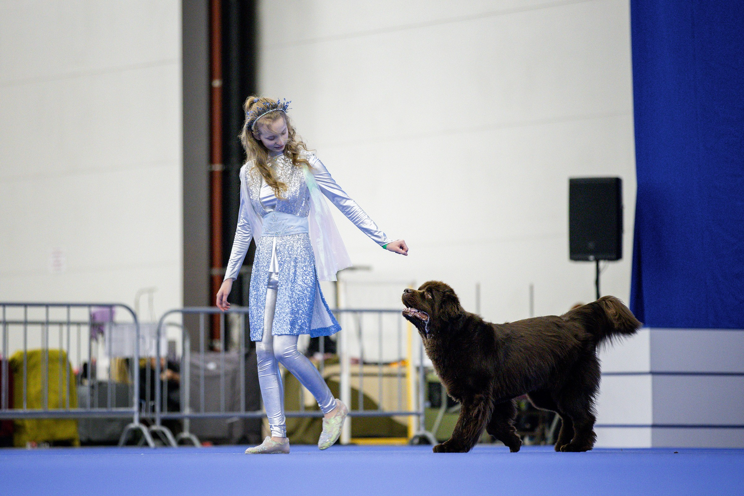 Танцы с собаками. Зоошоу 14.12.2025. Irenephoto.ru