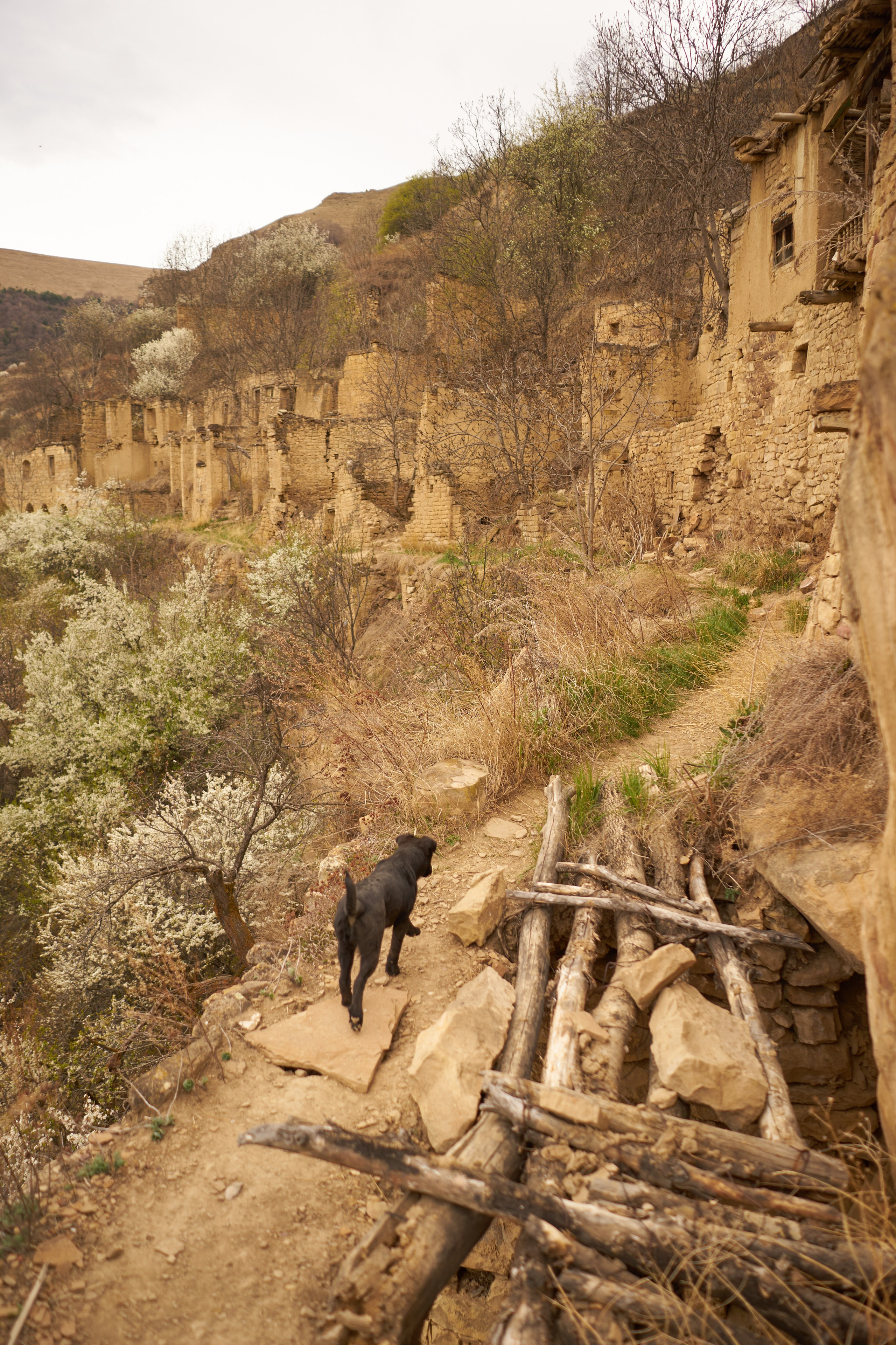 Женский портрет. Контент фотограф в Санкт-Петербурге Виктория Усова