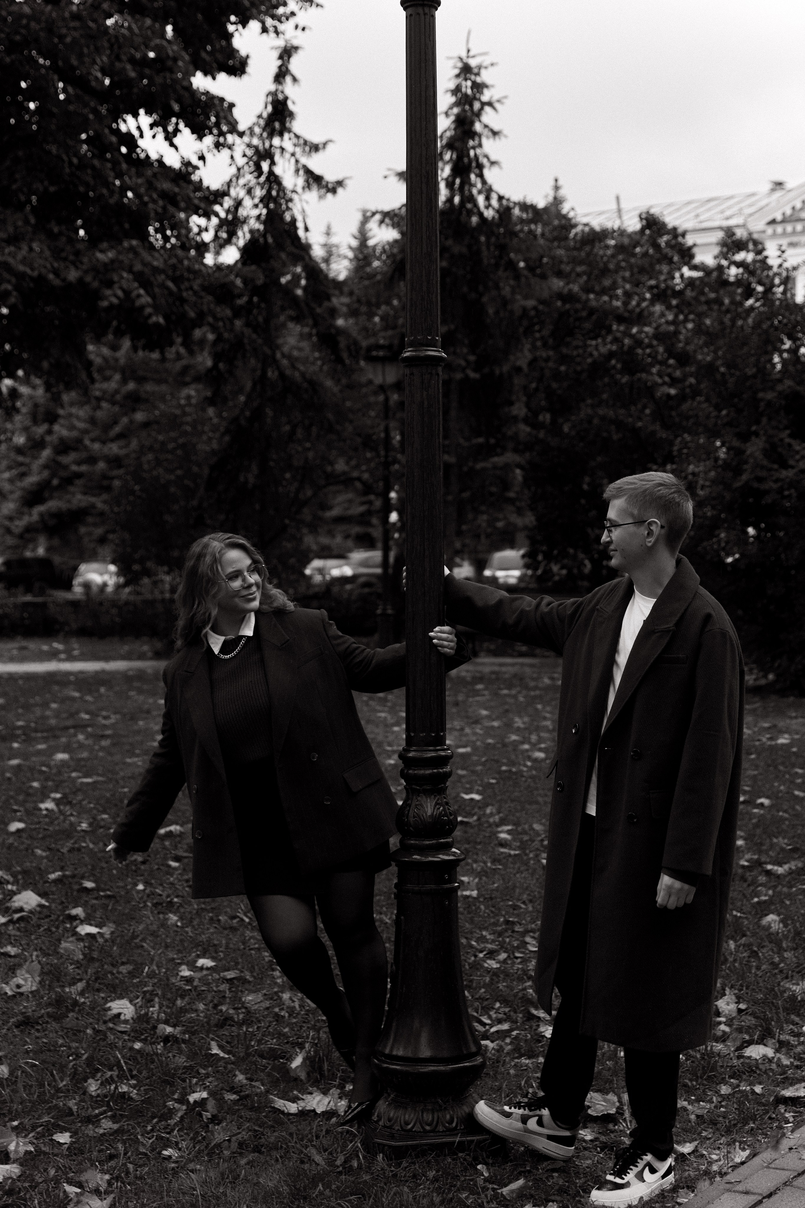 Подсолнухи