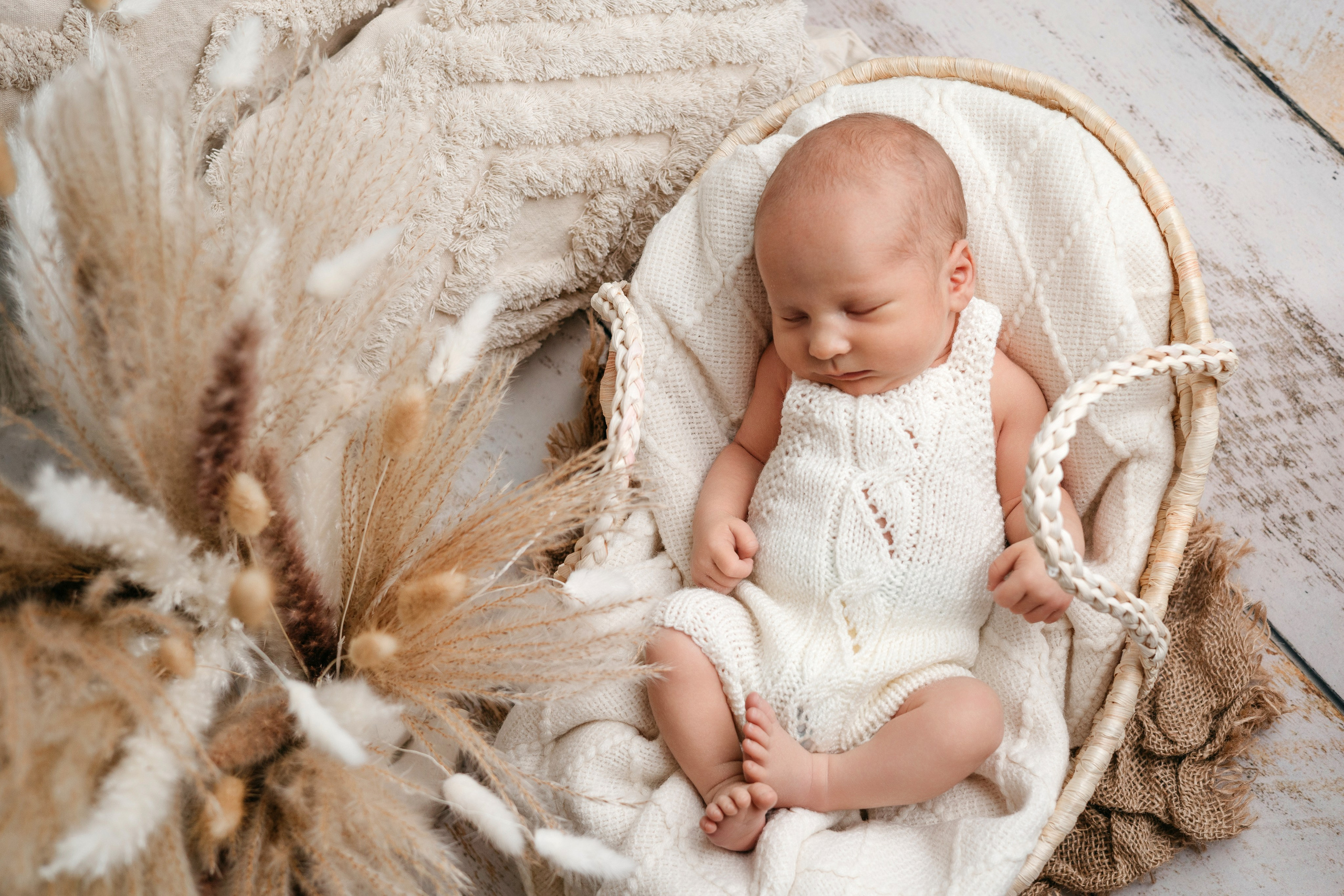 В Москве новорожденный малыш рядом сухоцветы