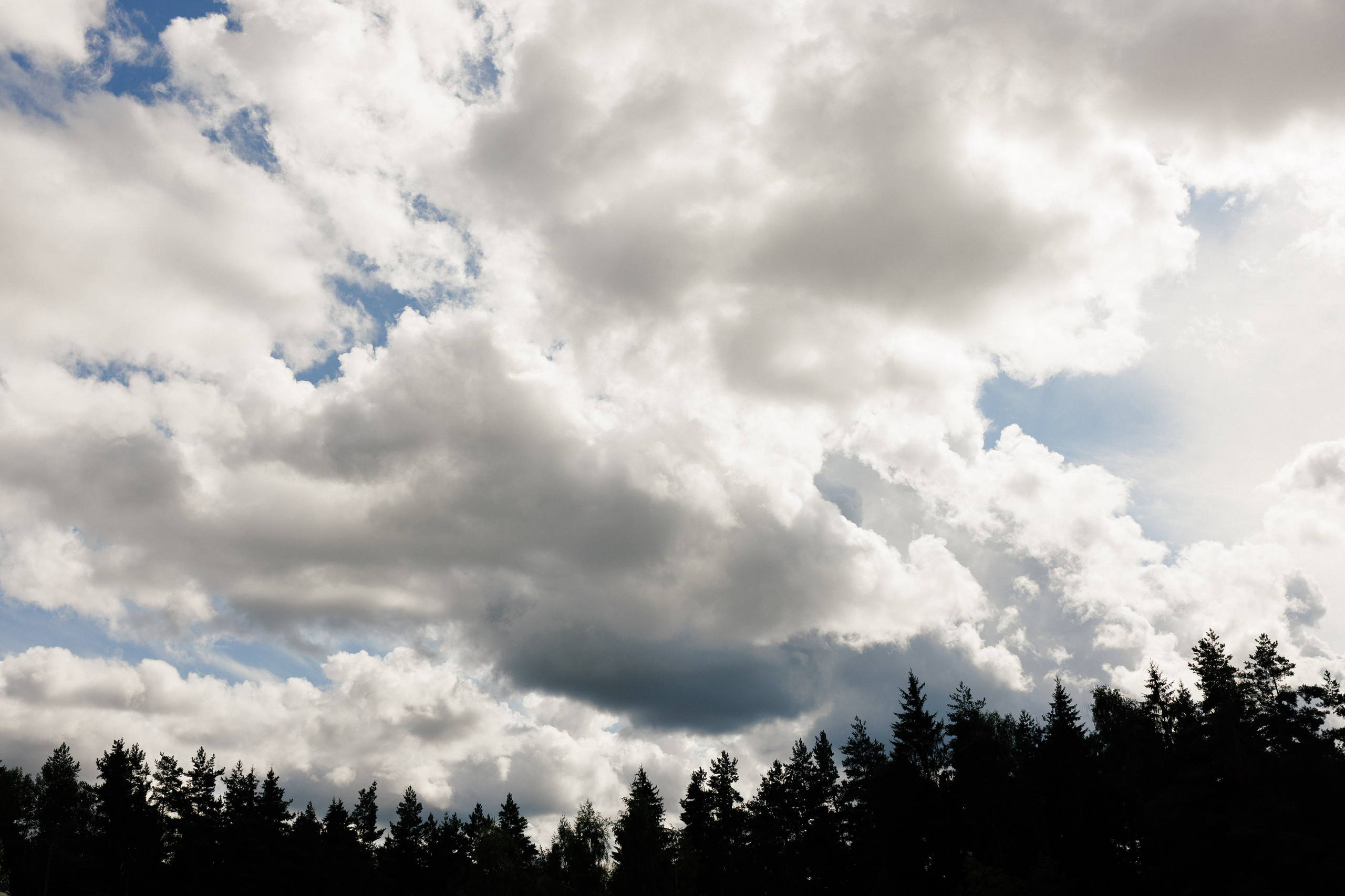 Марина & Лёша. Свадебный и семейный фотограф в Твери, Москве, Санкт-Петербурге