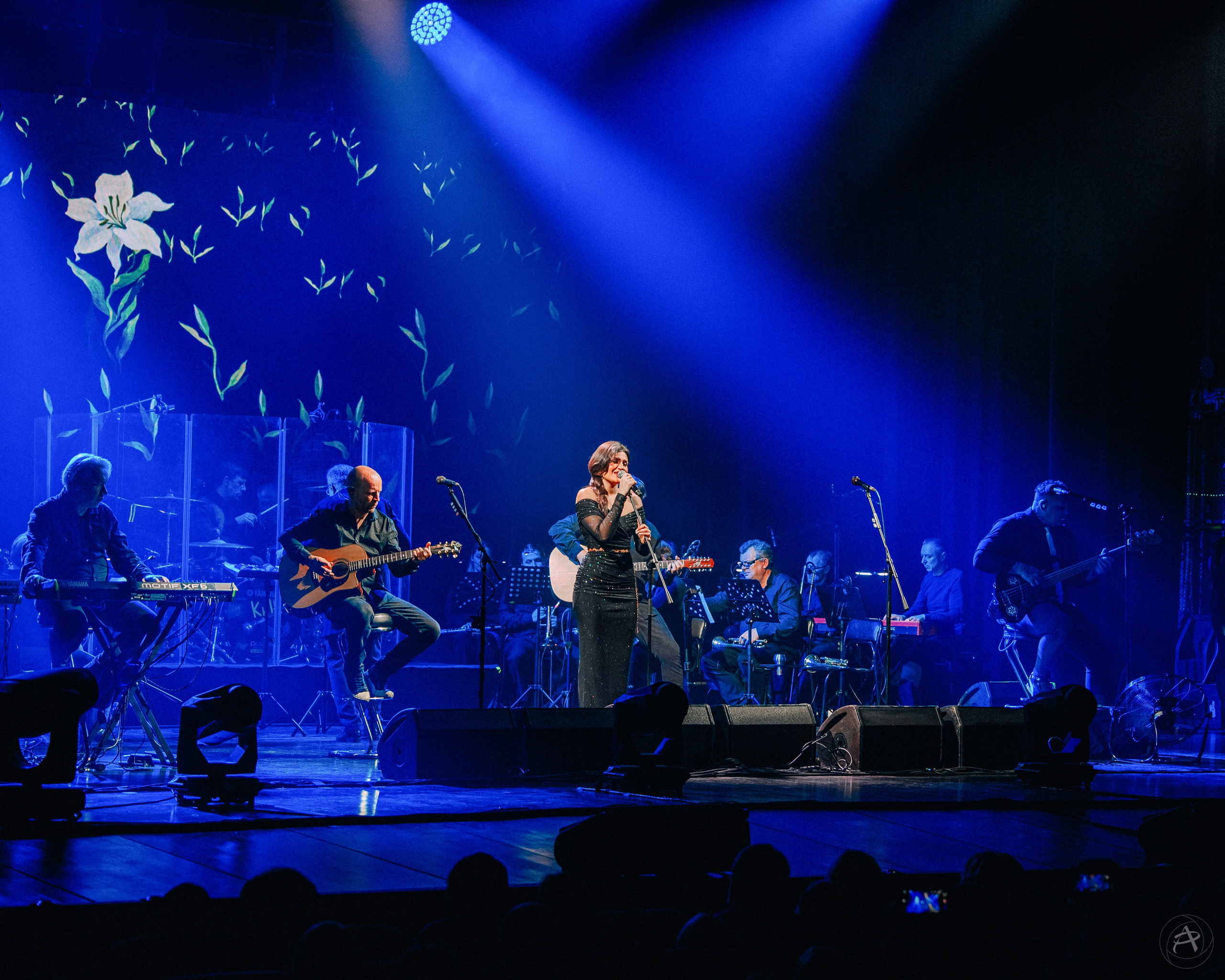 Северный Флот. ДК ПЗ (Вологда). Концертный фотограф Аля Рашпиль