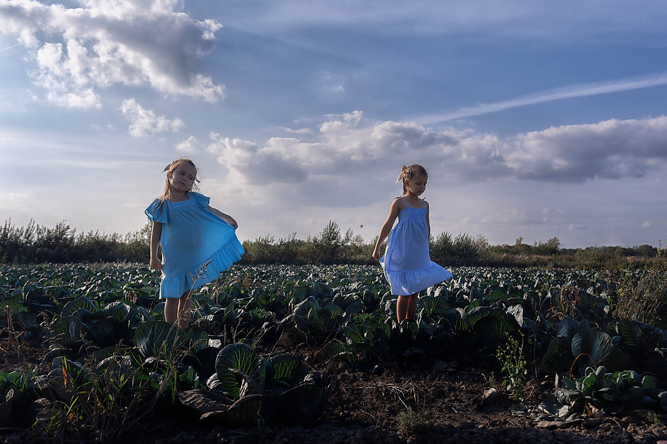 Капустное поле_Ленинградская область. Семейный фотограф в Санкт-Петербурге