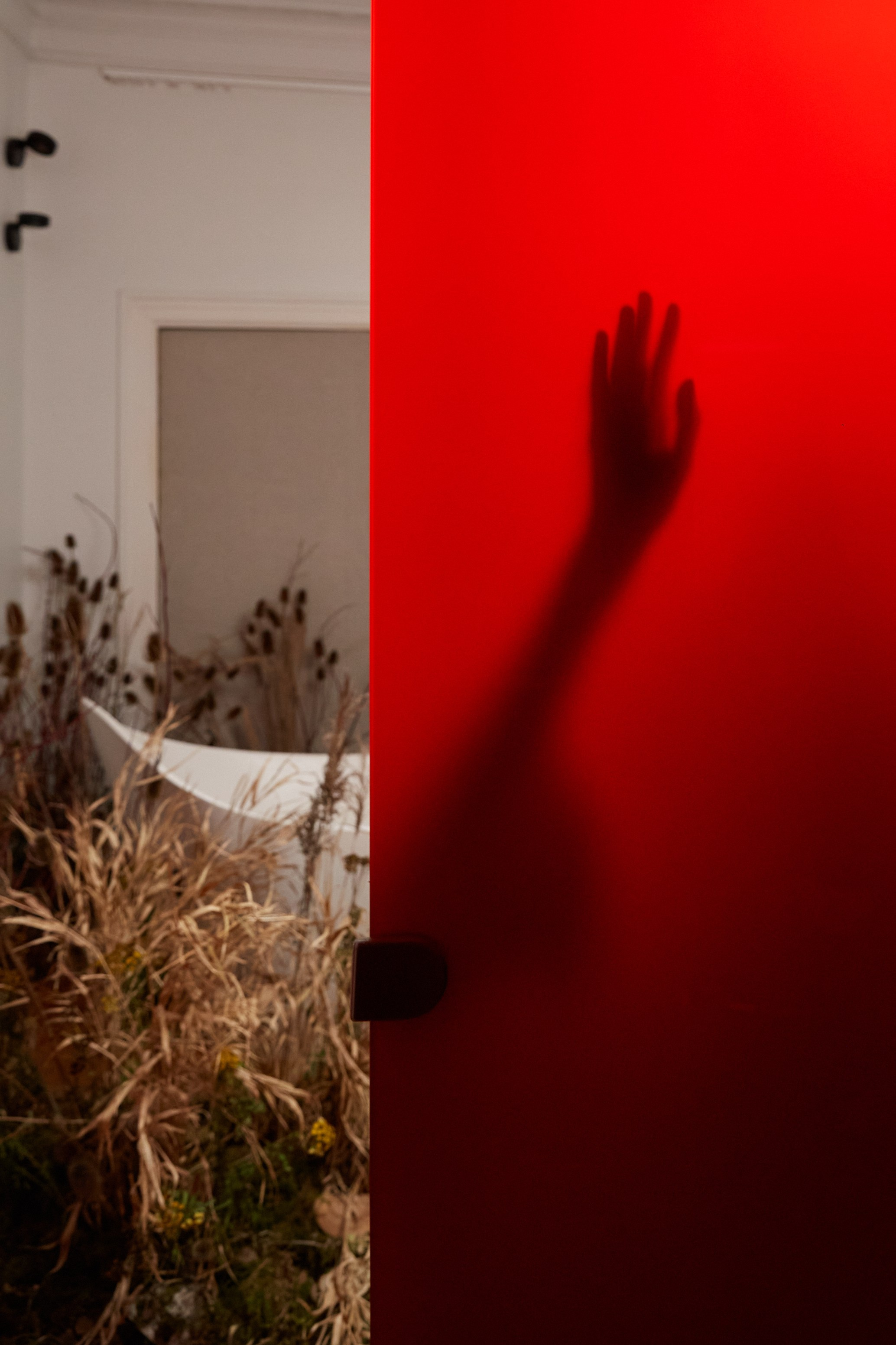 Лера & Вова. Оформление свадеб, декор свадеб Вера Маркова, Москва