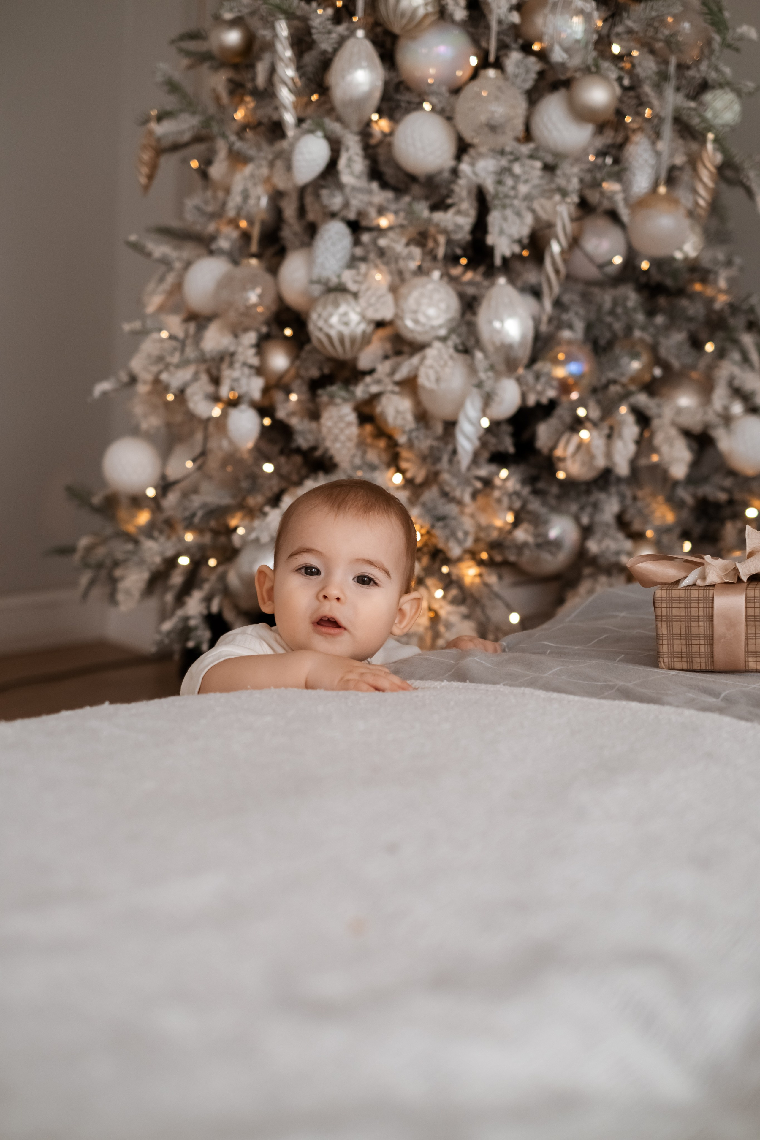 Семейная новогодняя фотосессия. Семейный и детский фотограф в Мелитополе /Наталья Зацеркляная