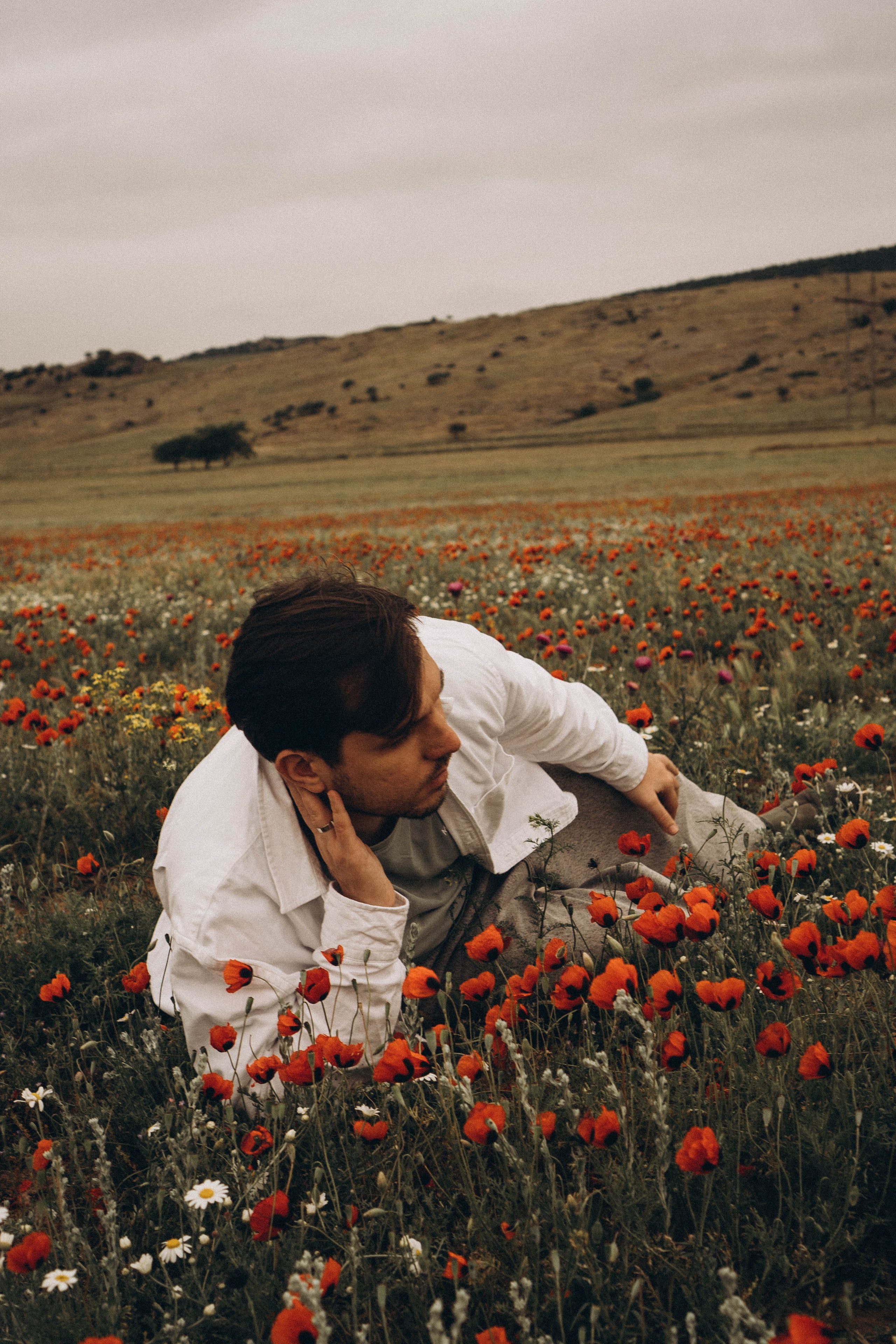 Маки. Профессиональный фотограф, Санкт-Петербург — Виктория Богомолова