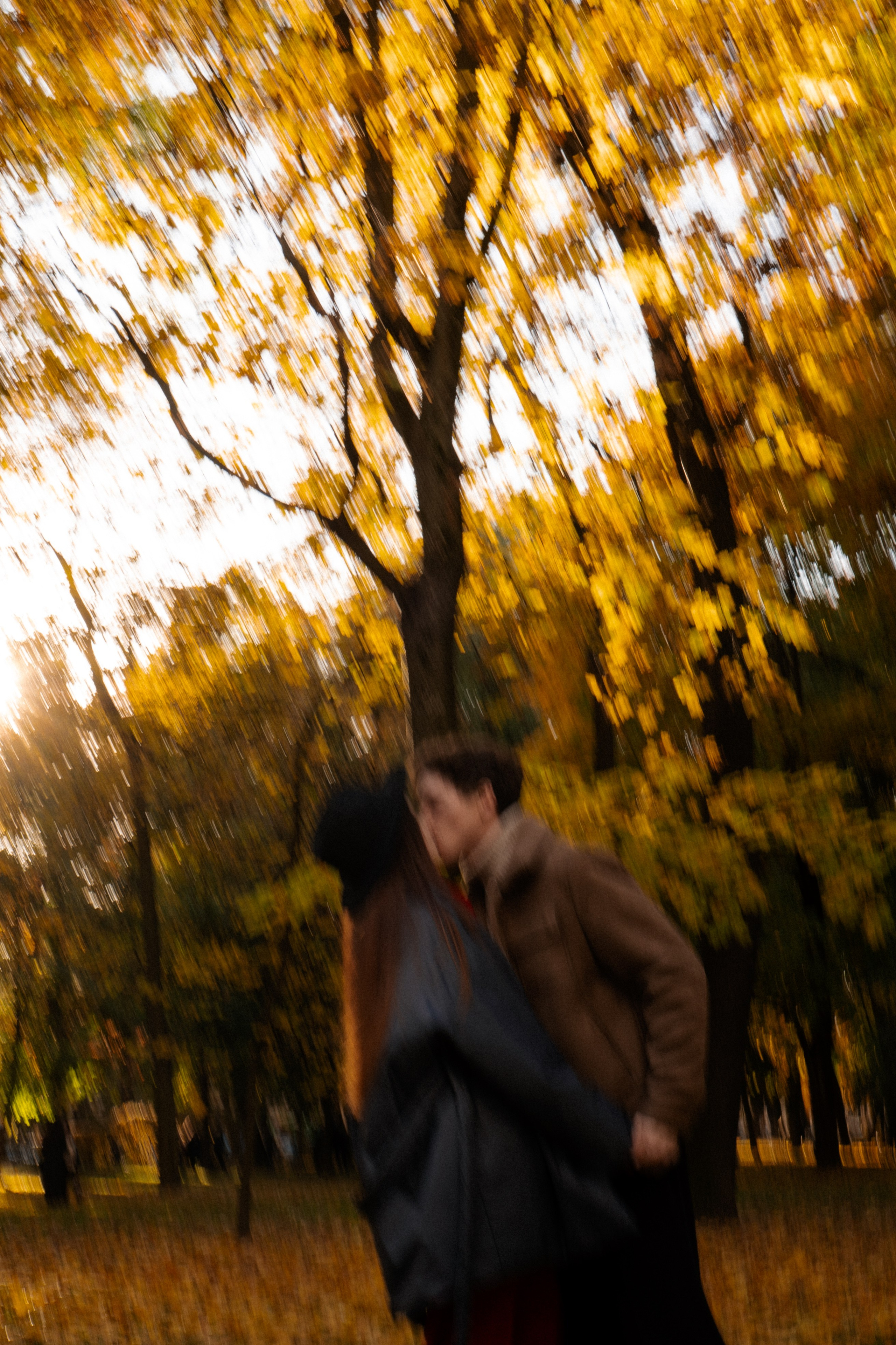 ОСЕННЯЯ ПРОГУЛКА. Профессиональный фотограф, Санкт-Петербург — Виктория Богомолова