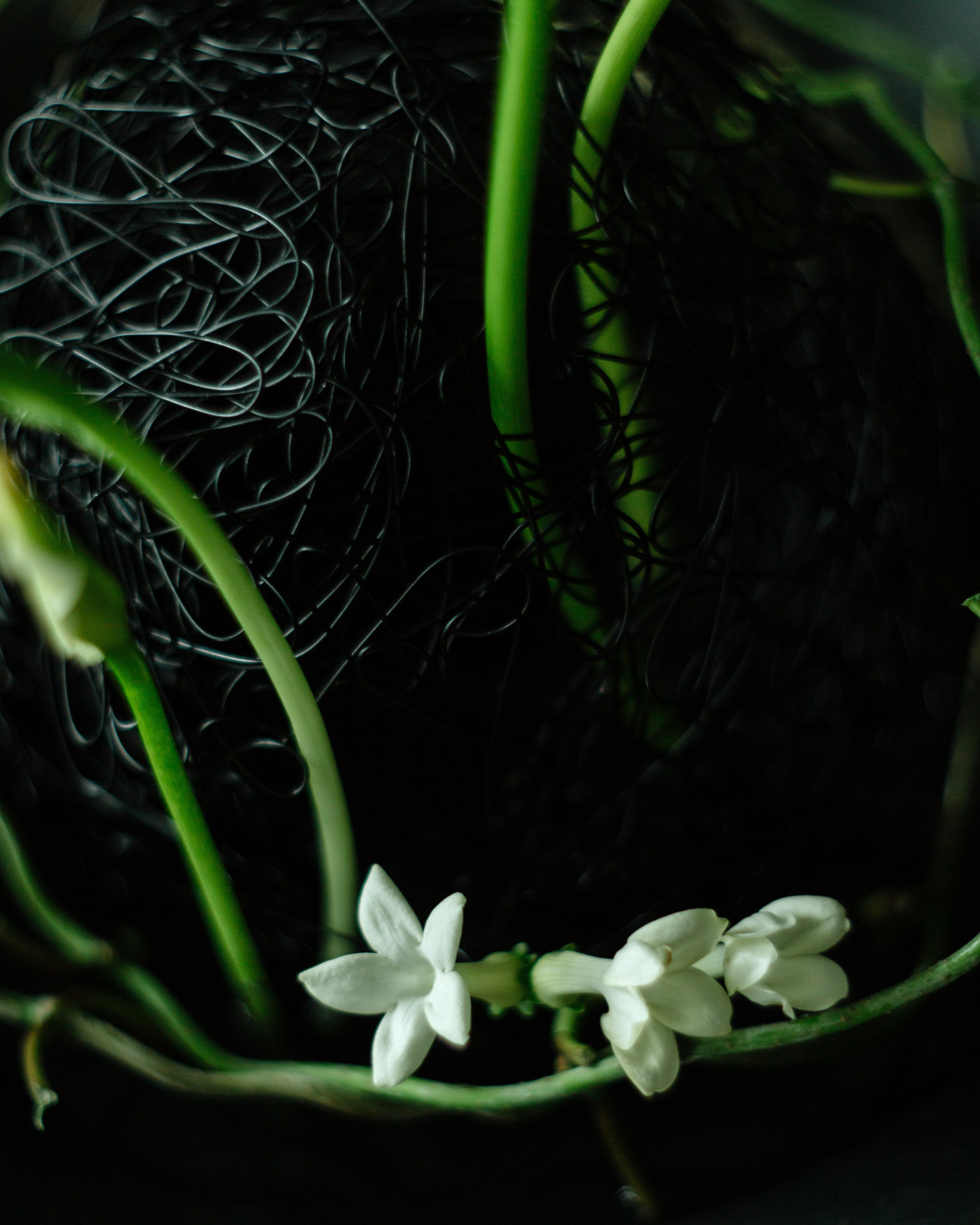 Denis. Lena Sorokina photographer, Astana, Kazakhstan