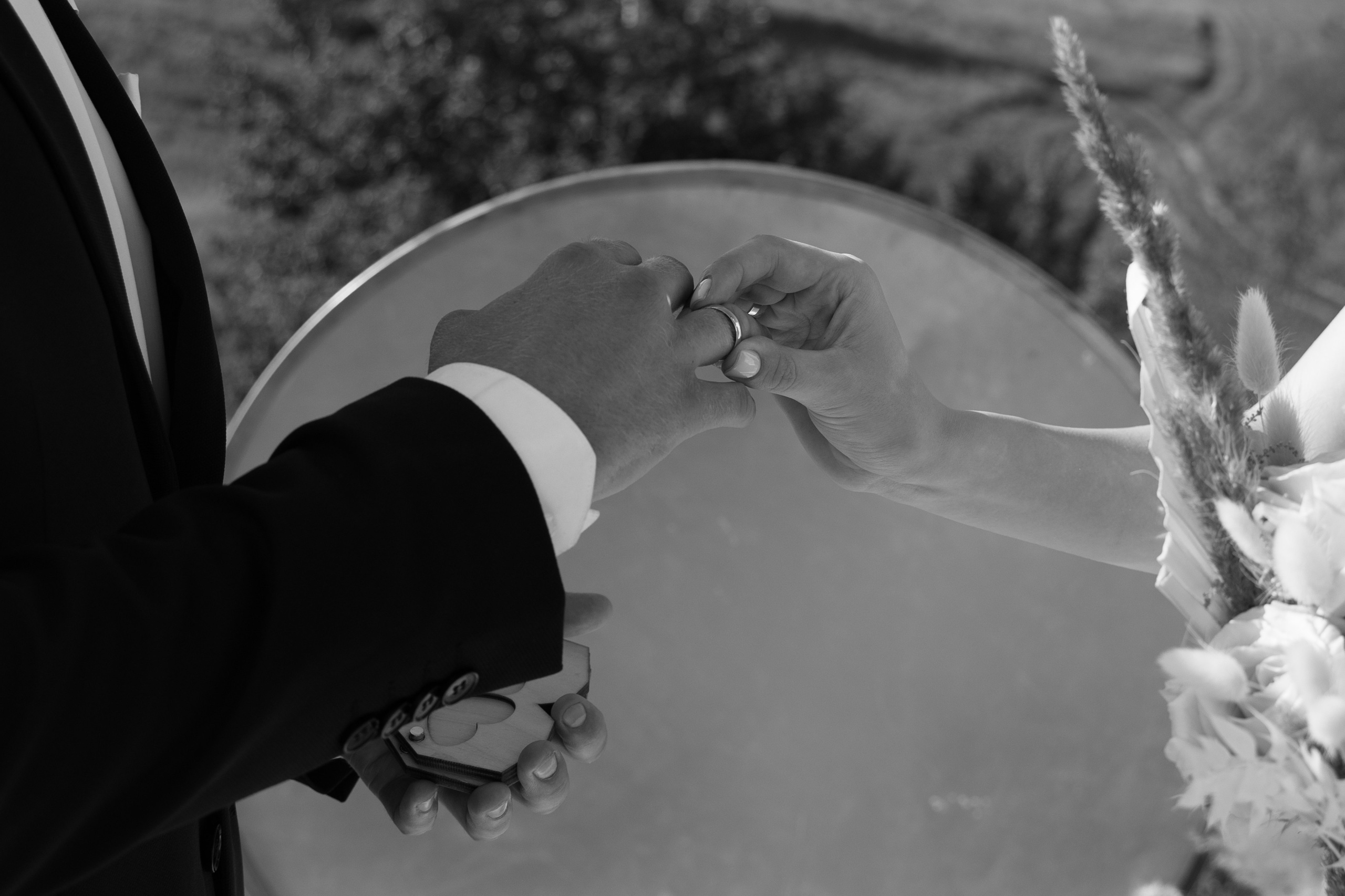 Дмитрий и Кристина. Свадебный фотограф Курск Максим Ноздрачев