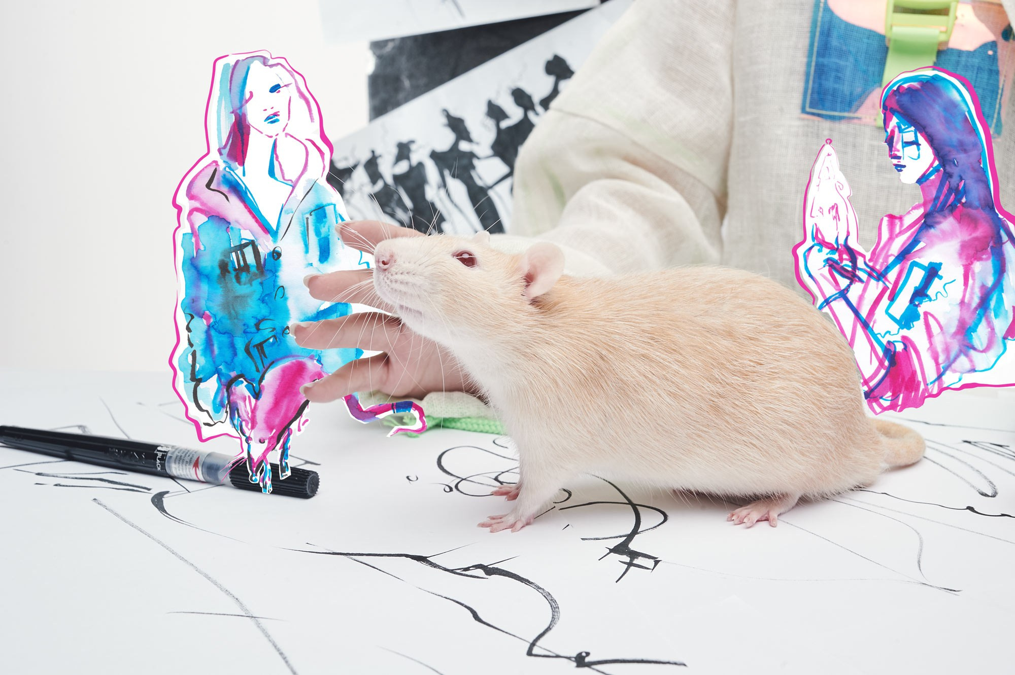 Метаморфозы