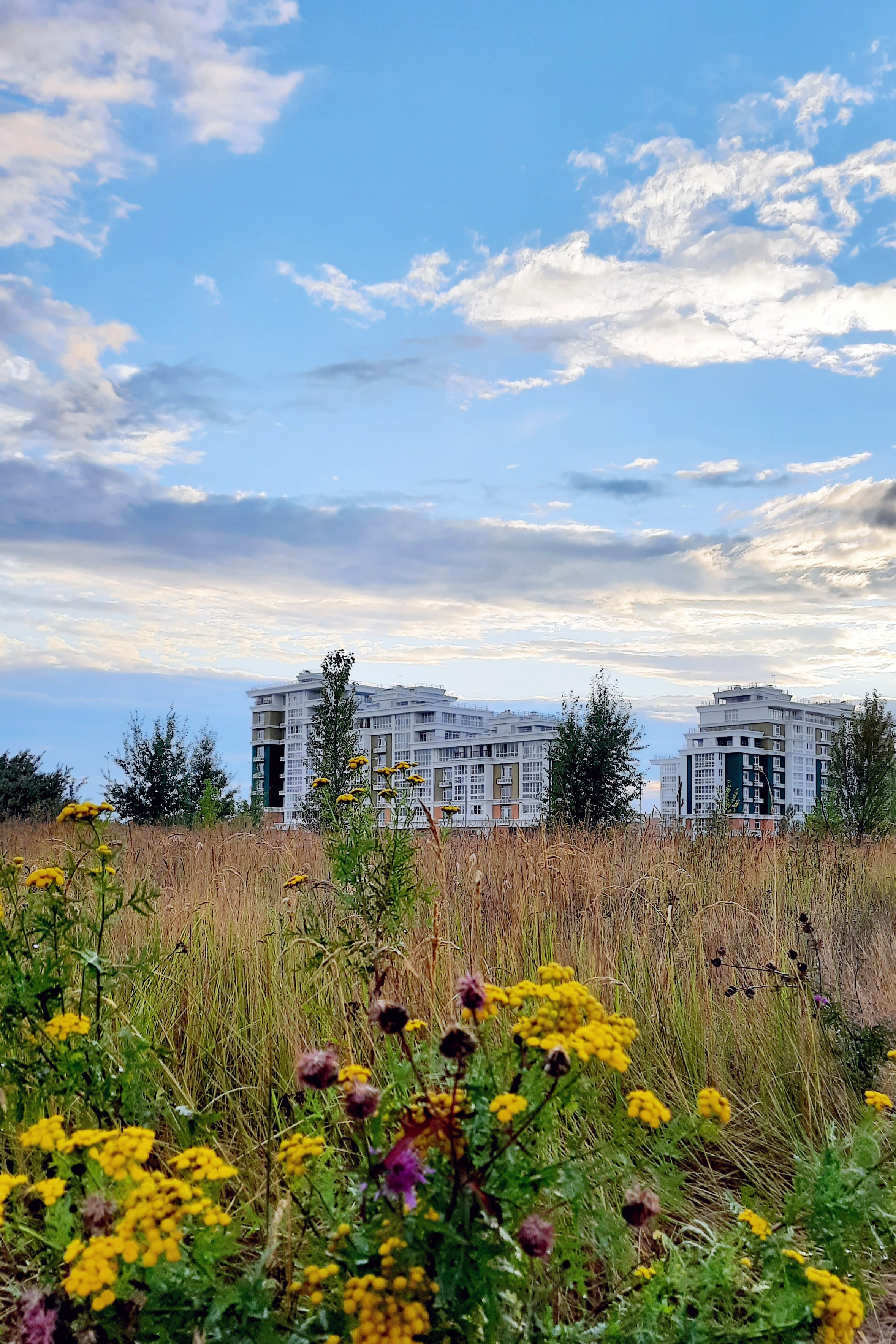 Экстерьеры ЖК