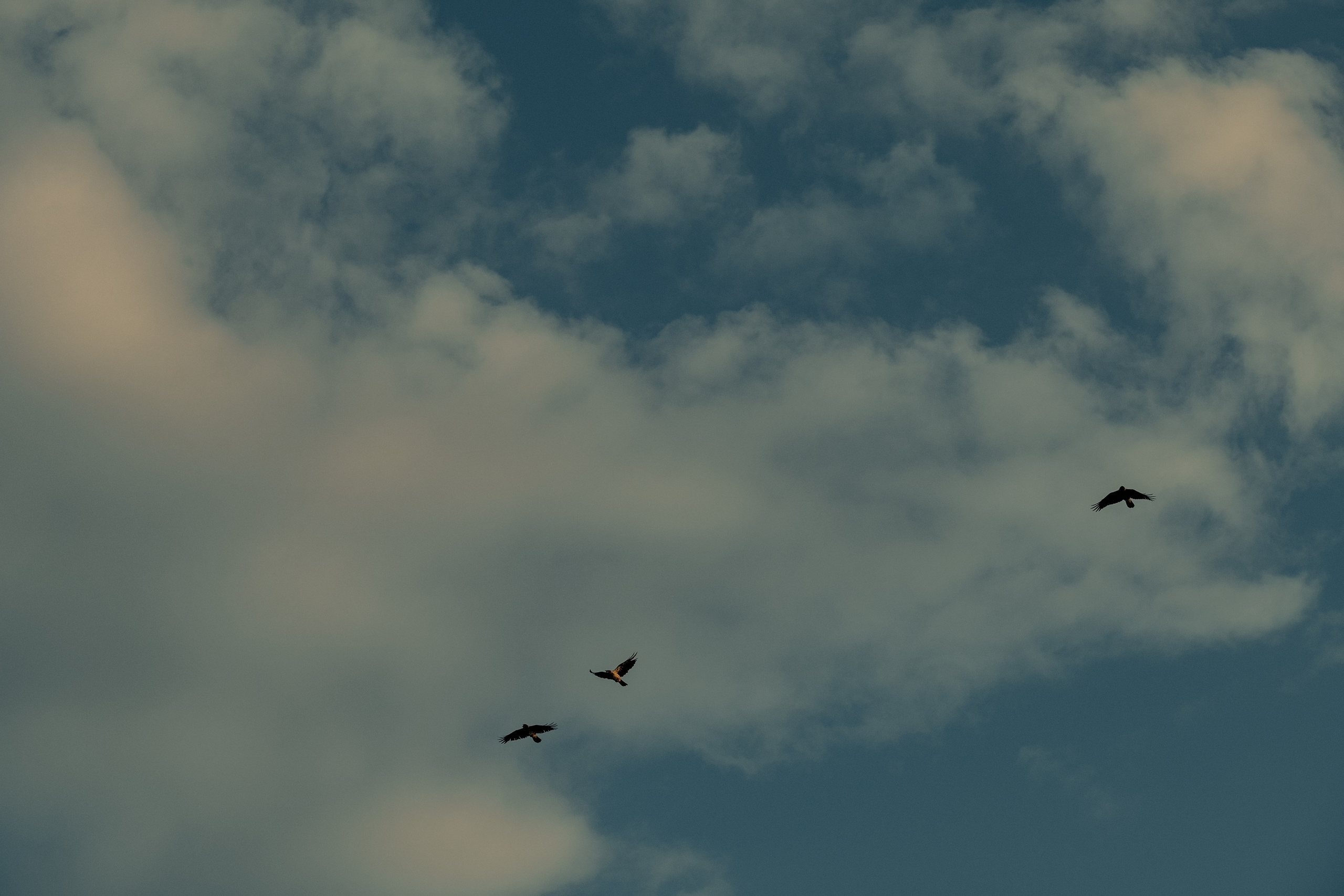 Фотографии Каргополя и красивые виды Русского Севера. Портретный, репортажный и пейзажный фотограф в Москве Сергей Арест