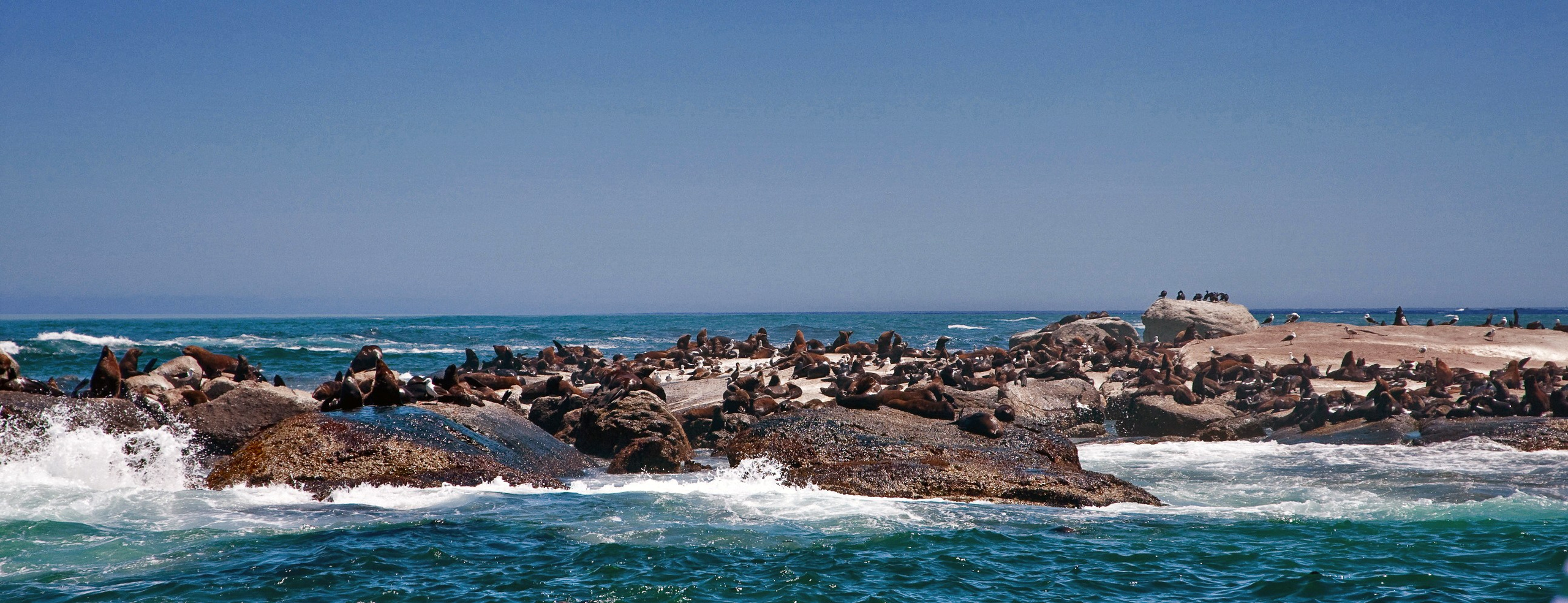 Cape Point. Фотограф Лара Кучина