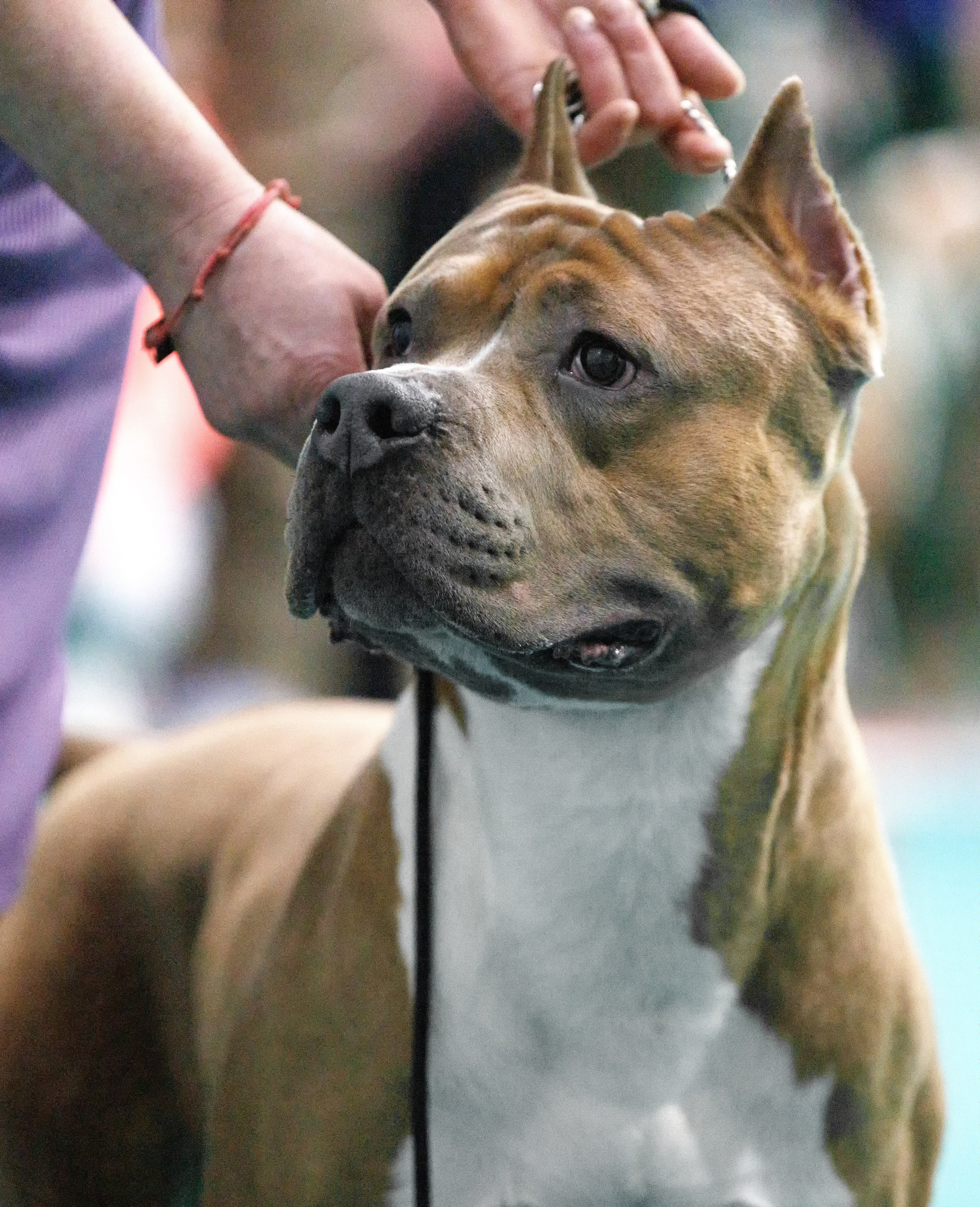 Крокус 10.02,Сфера 11.02.2024. Фотограф-анималист Юлия Германика