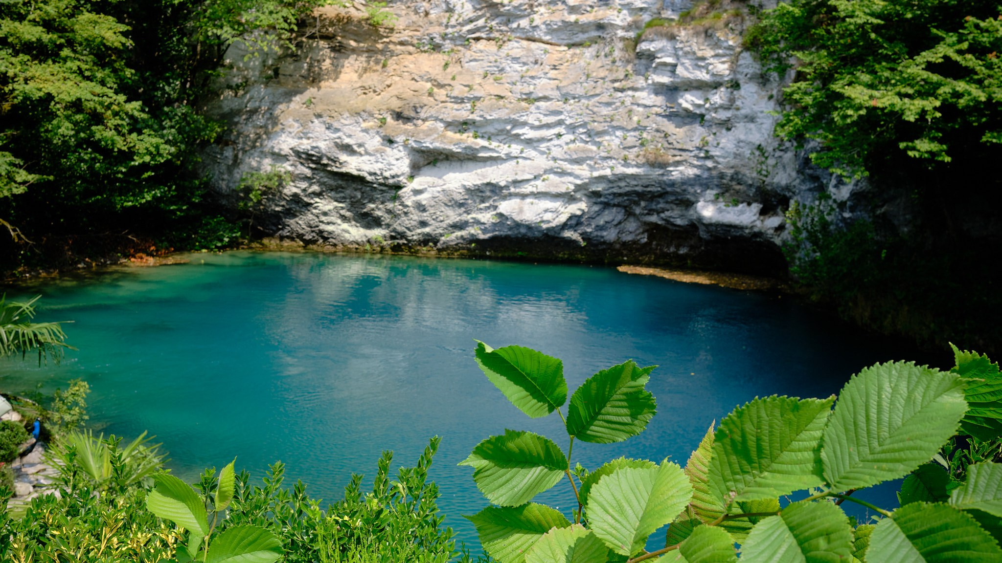 Фотограф Владимир Кононенко