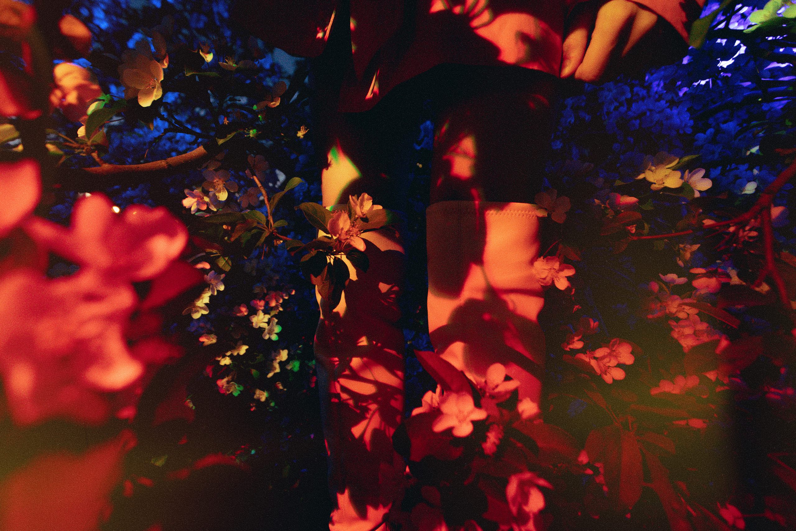 Сolor grading. Портретный и репортажный фотограф в Казани Максим Сипачев