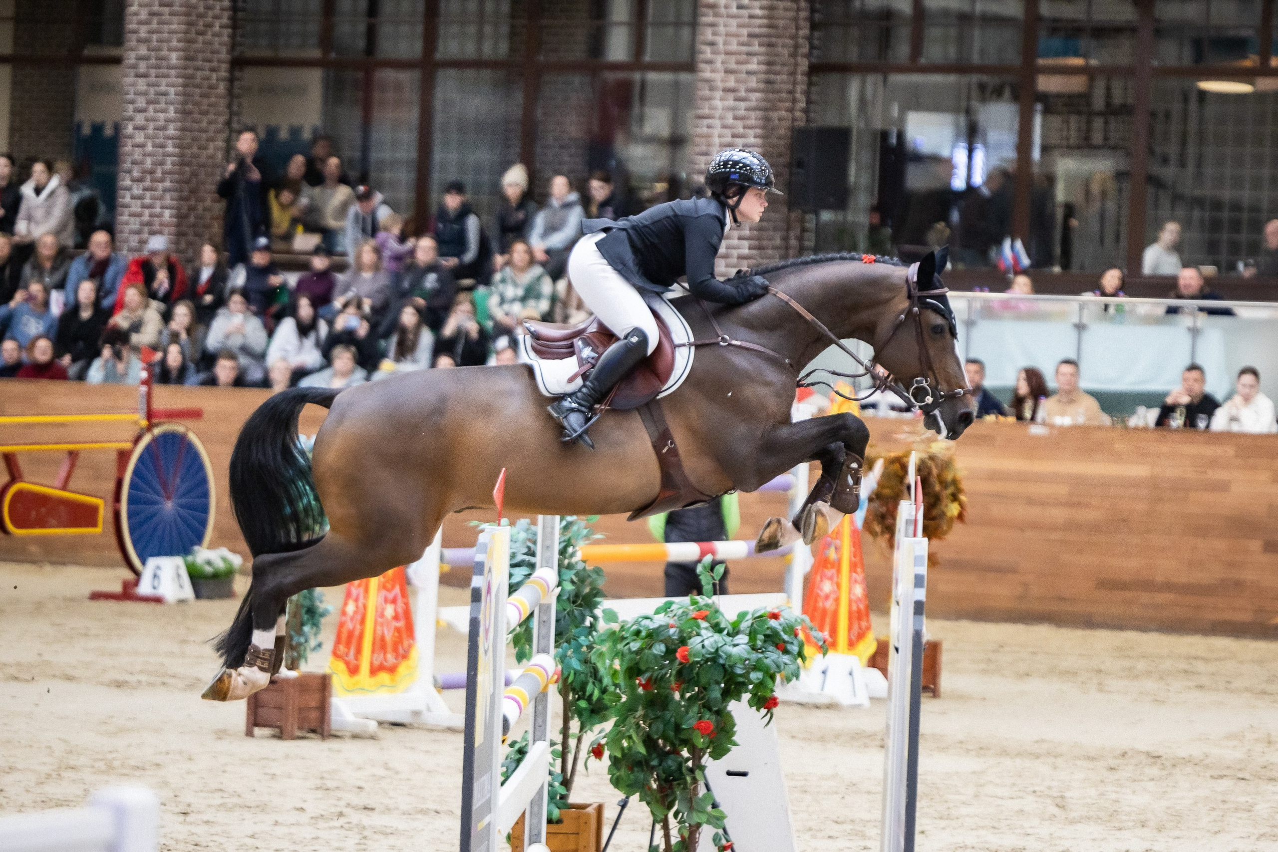 Кубок Кремля по Конкуру 12.04.25. Фотограф Владимир Охрименко