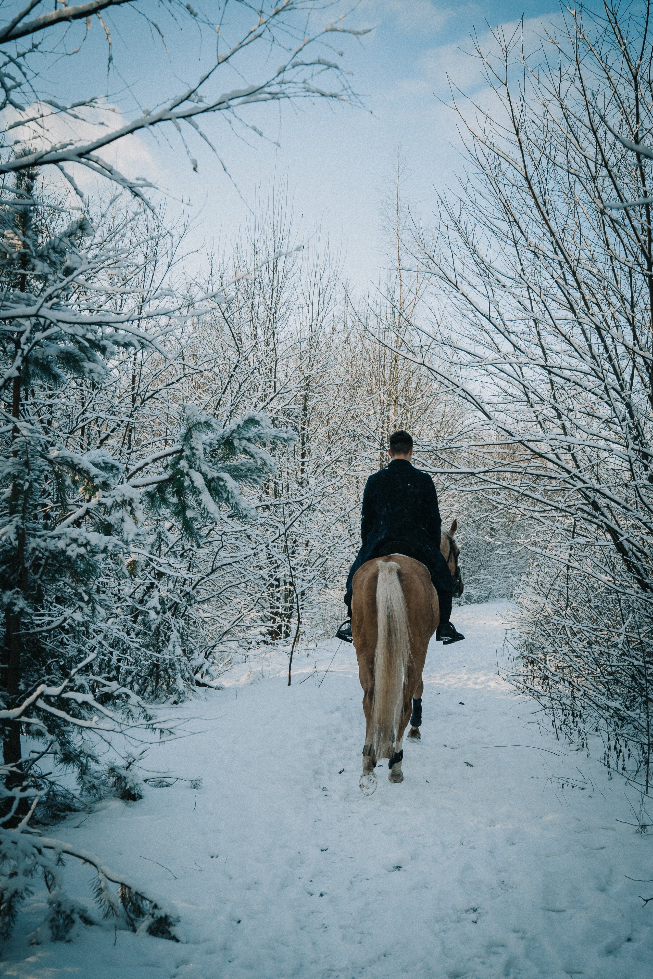 Ваня и Пейтон. Виктория Спорова. Ваш портретный фотограф в Санкт-Петербурге