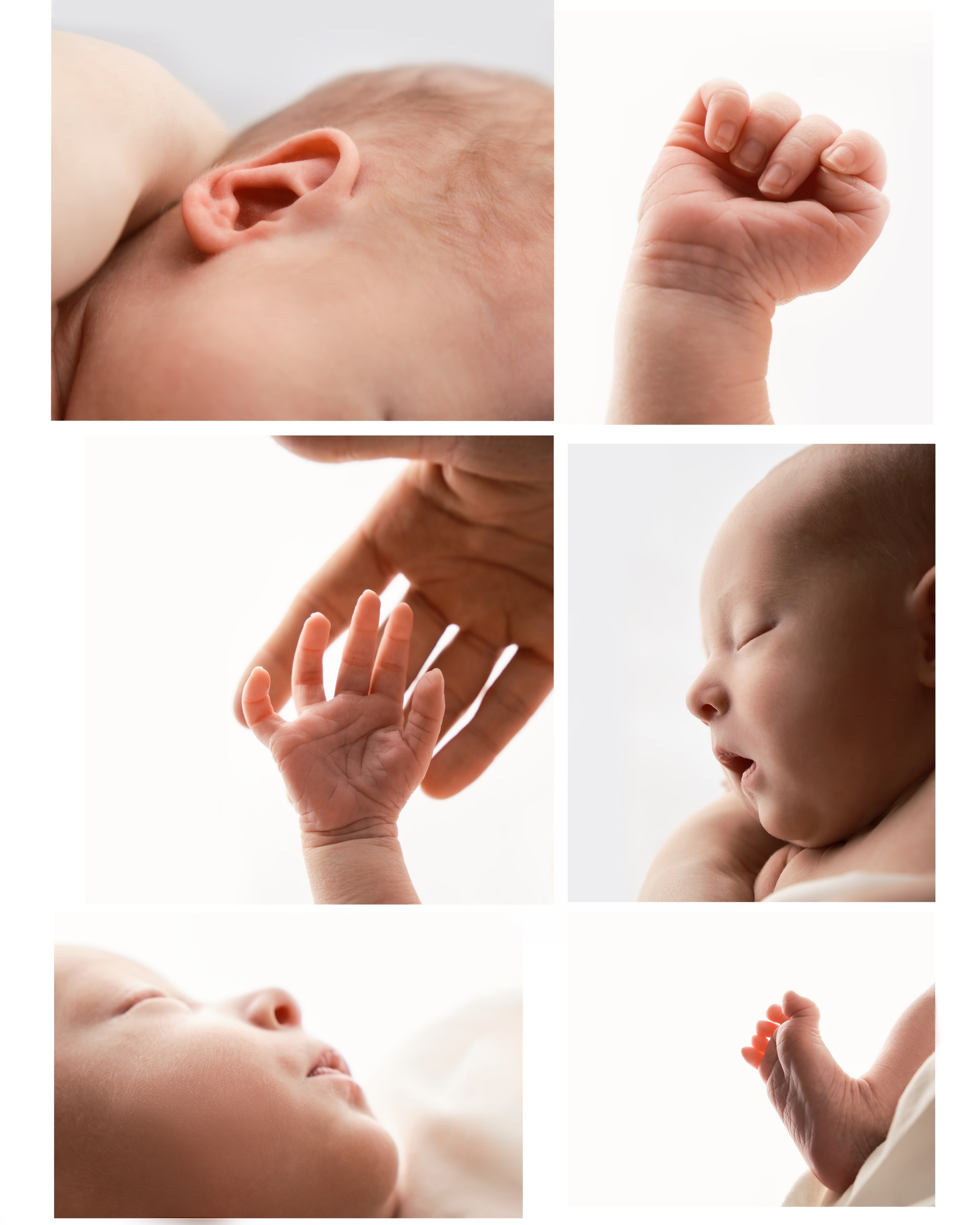 Фотосессия с новорожденными альбом. Фотограф в Москве — Галунина Кристина