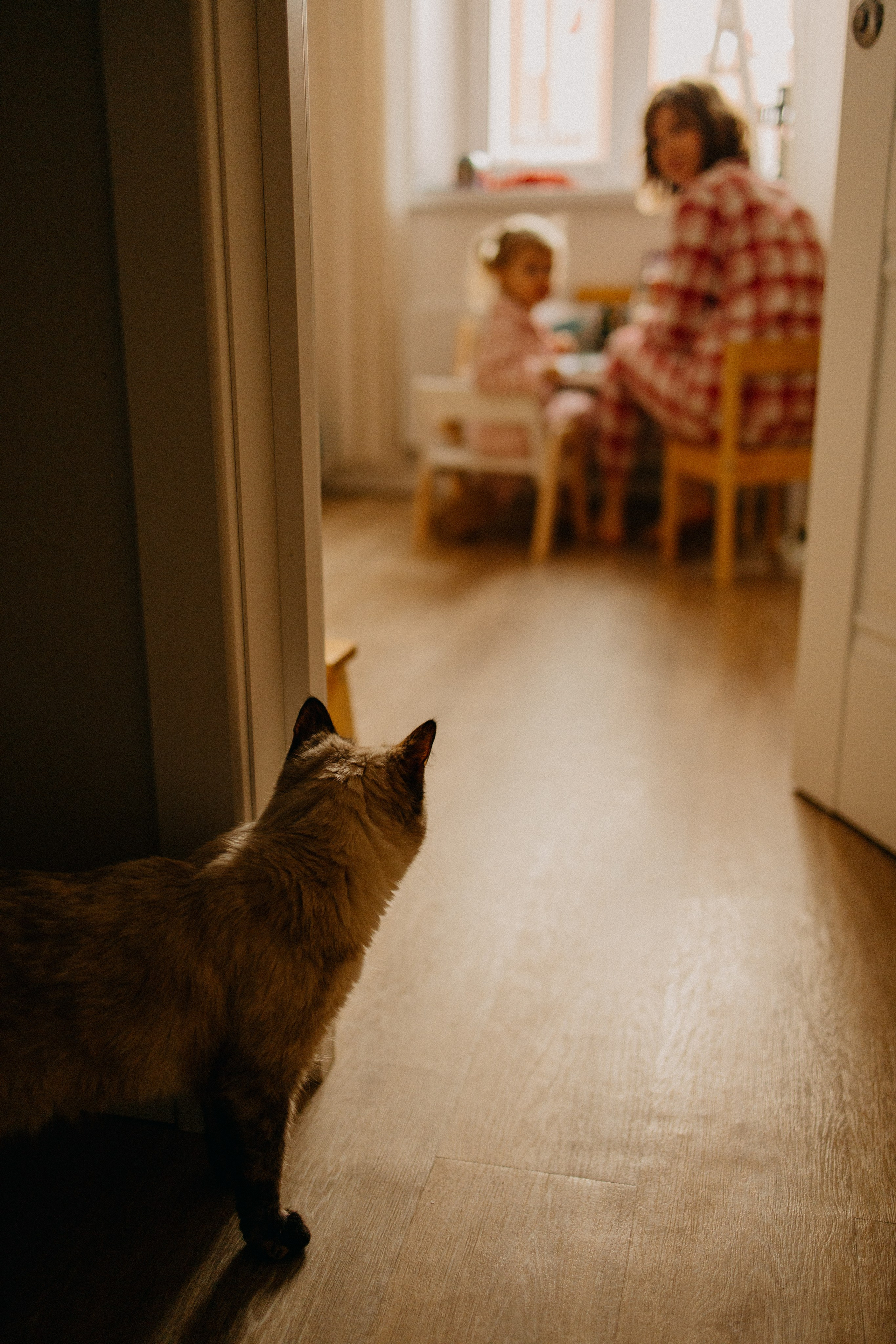 Новогодняя. Фотограф Настя Леонова