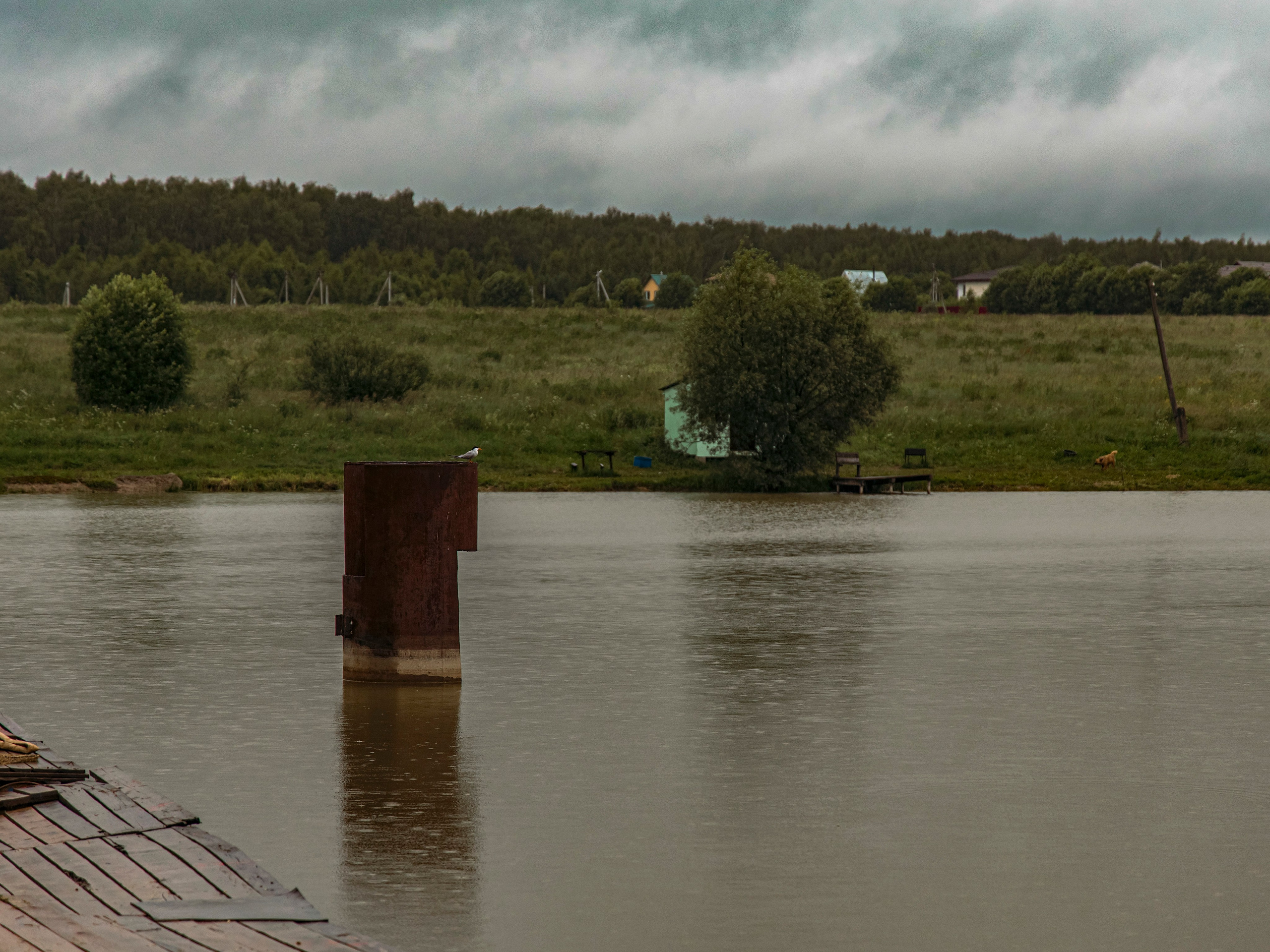 Тихая заводь. Чеховский район. Фотограф для маркетплейсов, фотоуслуги в Жуковском Татьяна Марсуверских