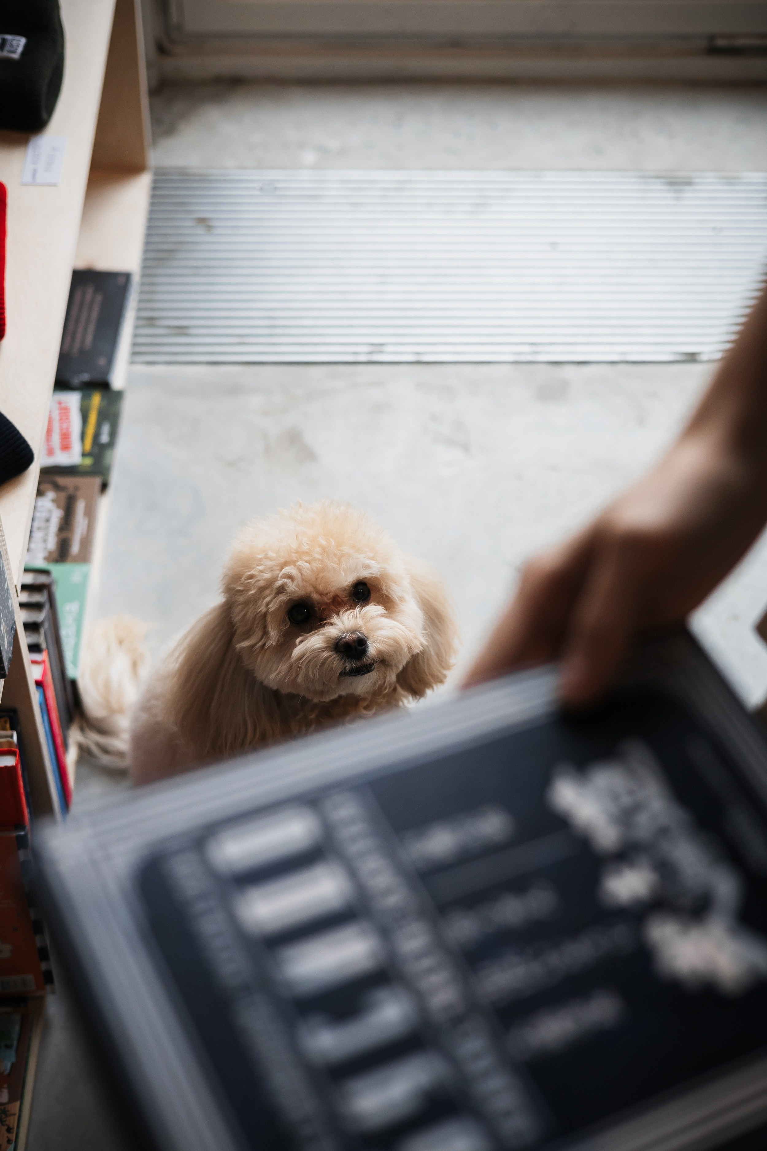 Алина — прогулка