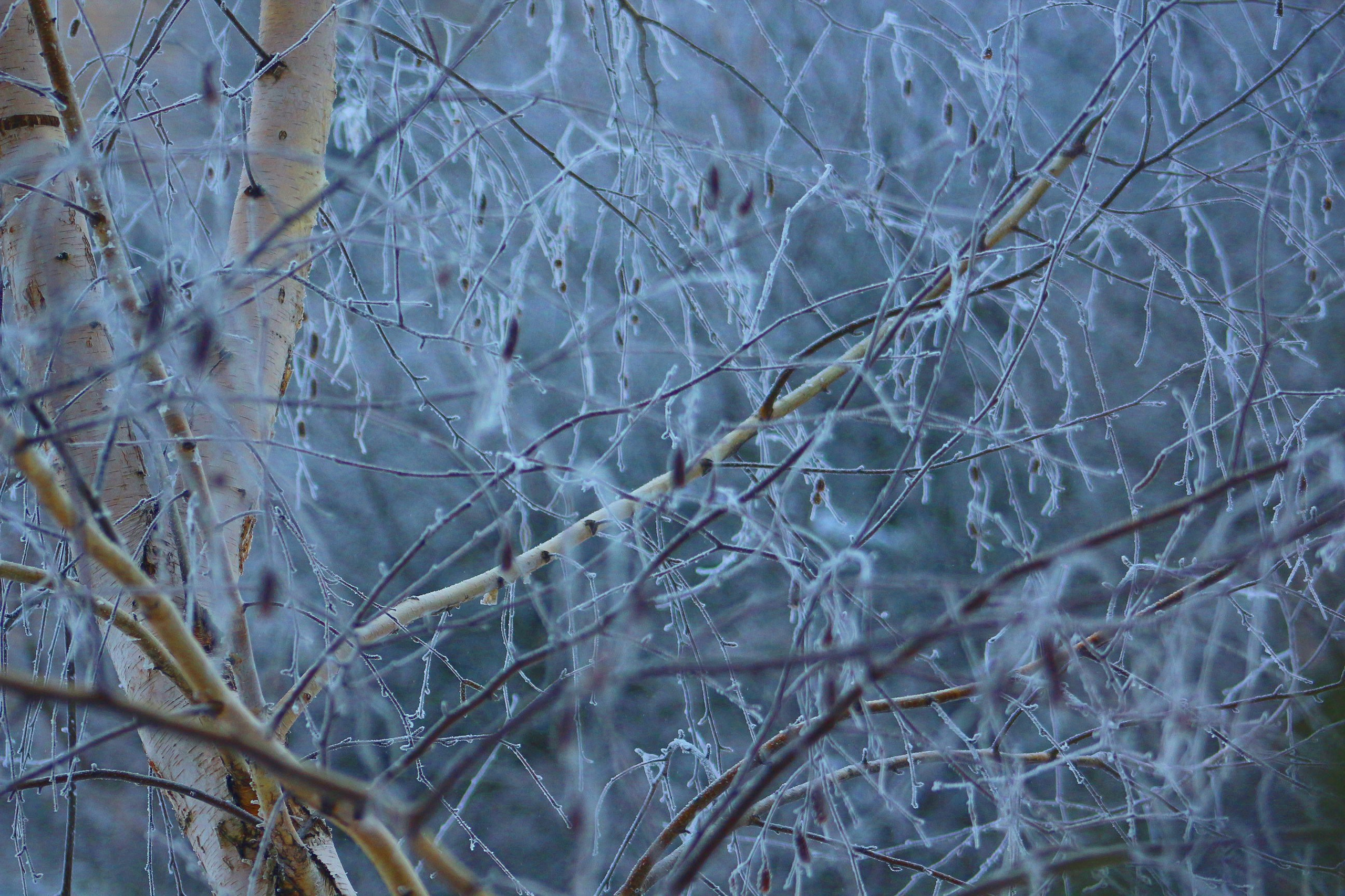 Пейзажи. Фотограф из Донецка Александр Турко