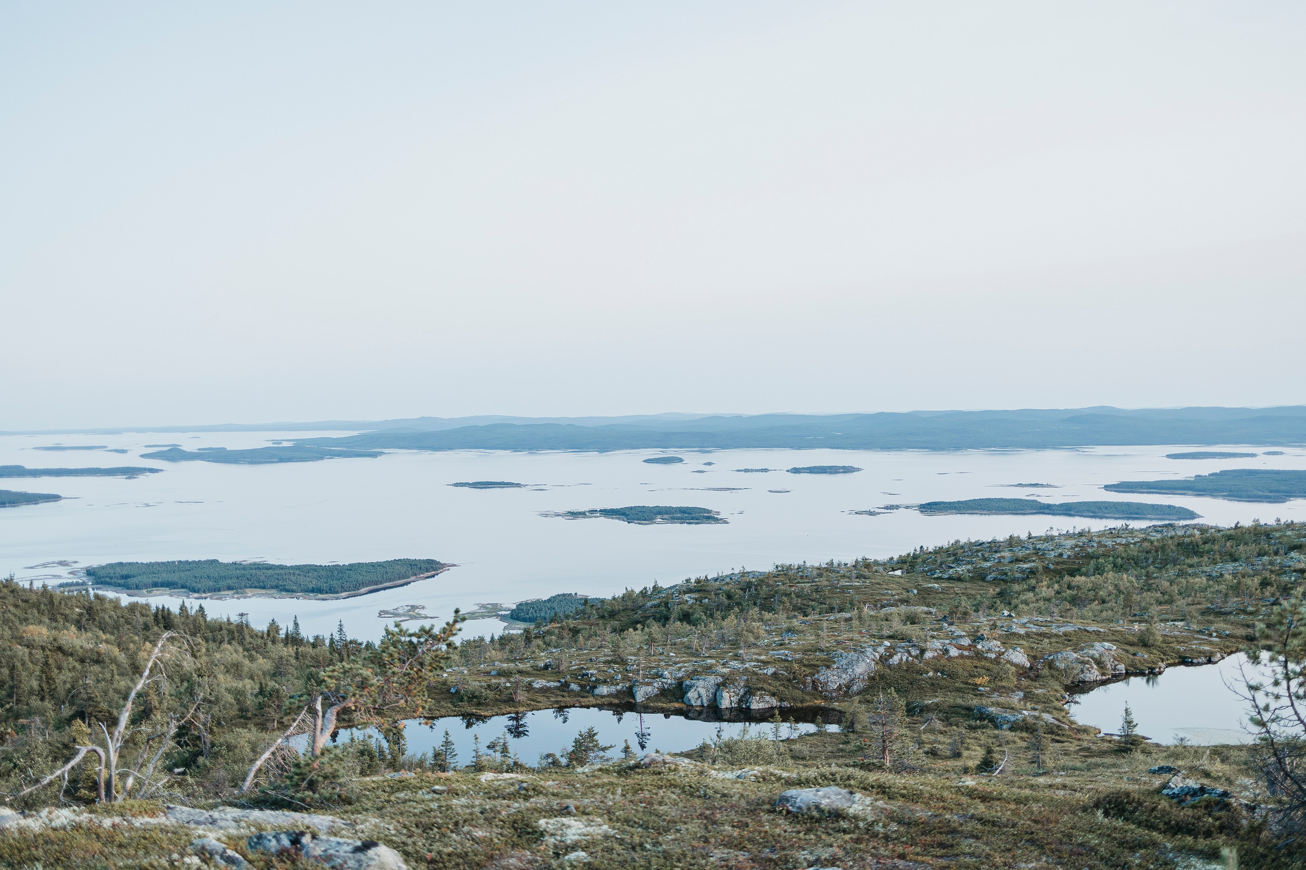 Горы. Фотограф-анималист Анна Маринич