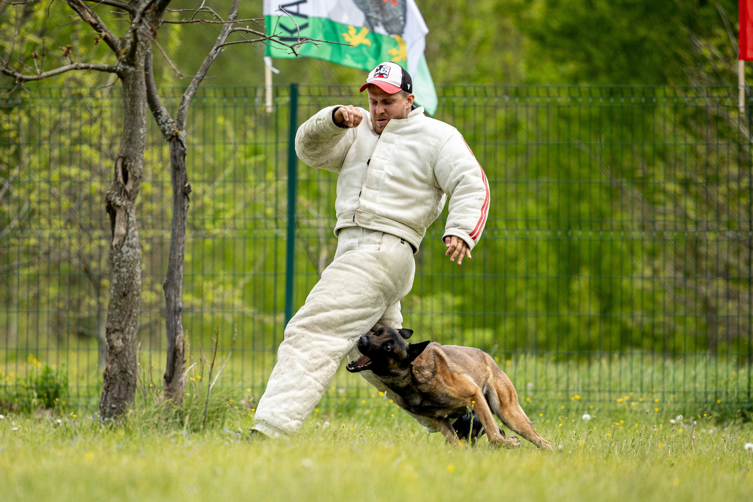 Испытания по мондьорингу в Нижнем Новгороде. Фотограф-анималист Анна Маринич