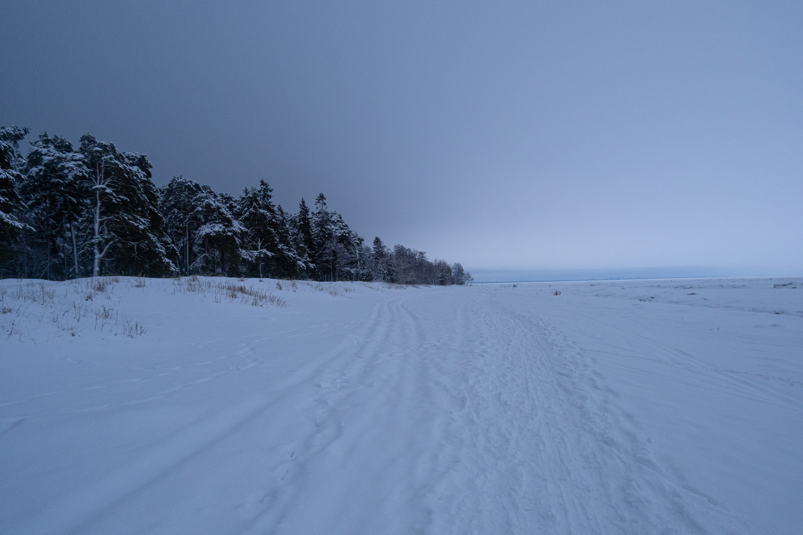 Комарово. Портретный и архитектурный фотограф в Москве и Санкт-Петербурге