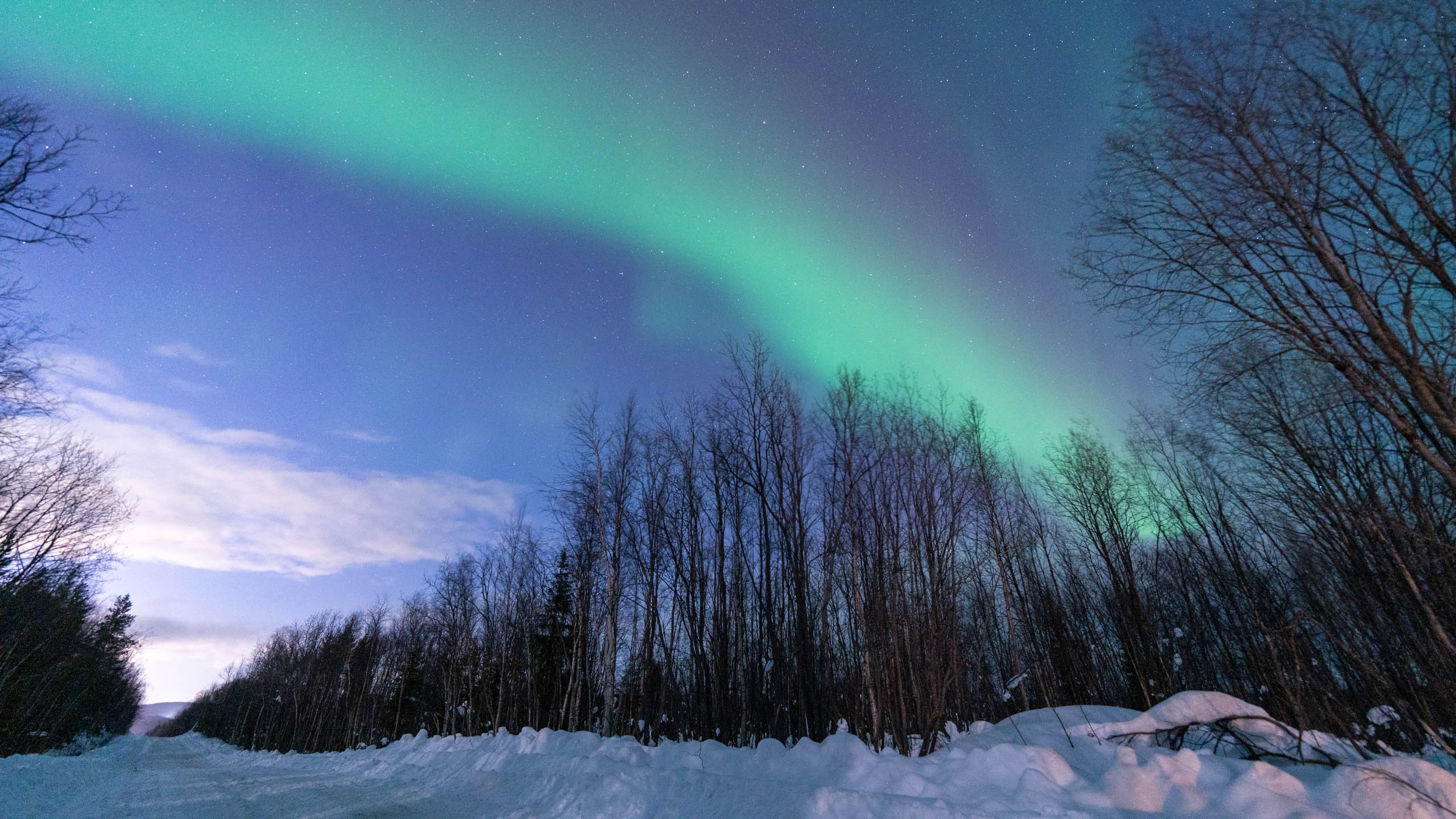 Мурманск, северное сияние, aurora borealis