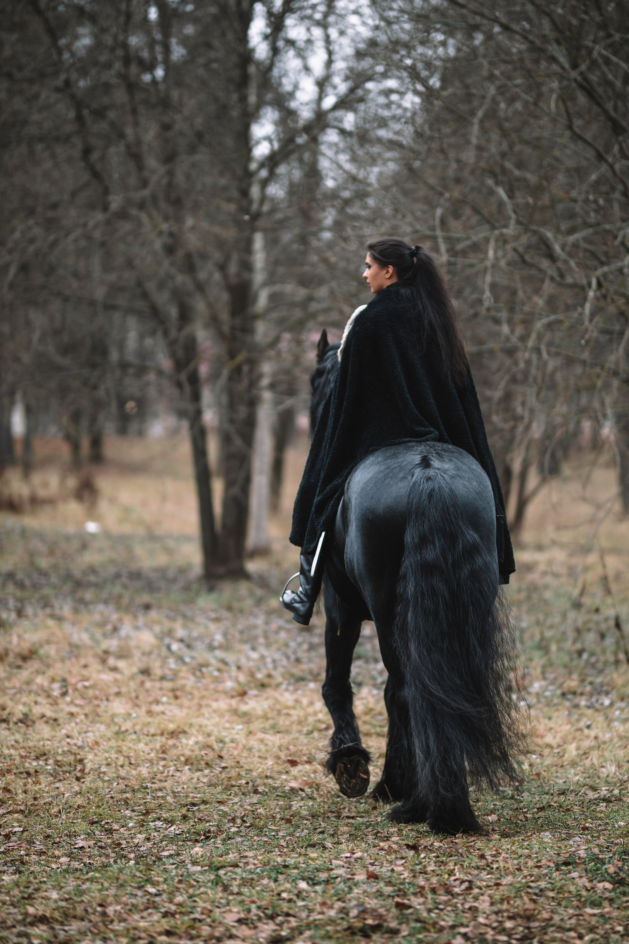 Наташа с фризом в костюме викинга. Фотосессии с лошадьми