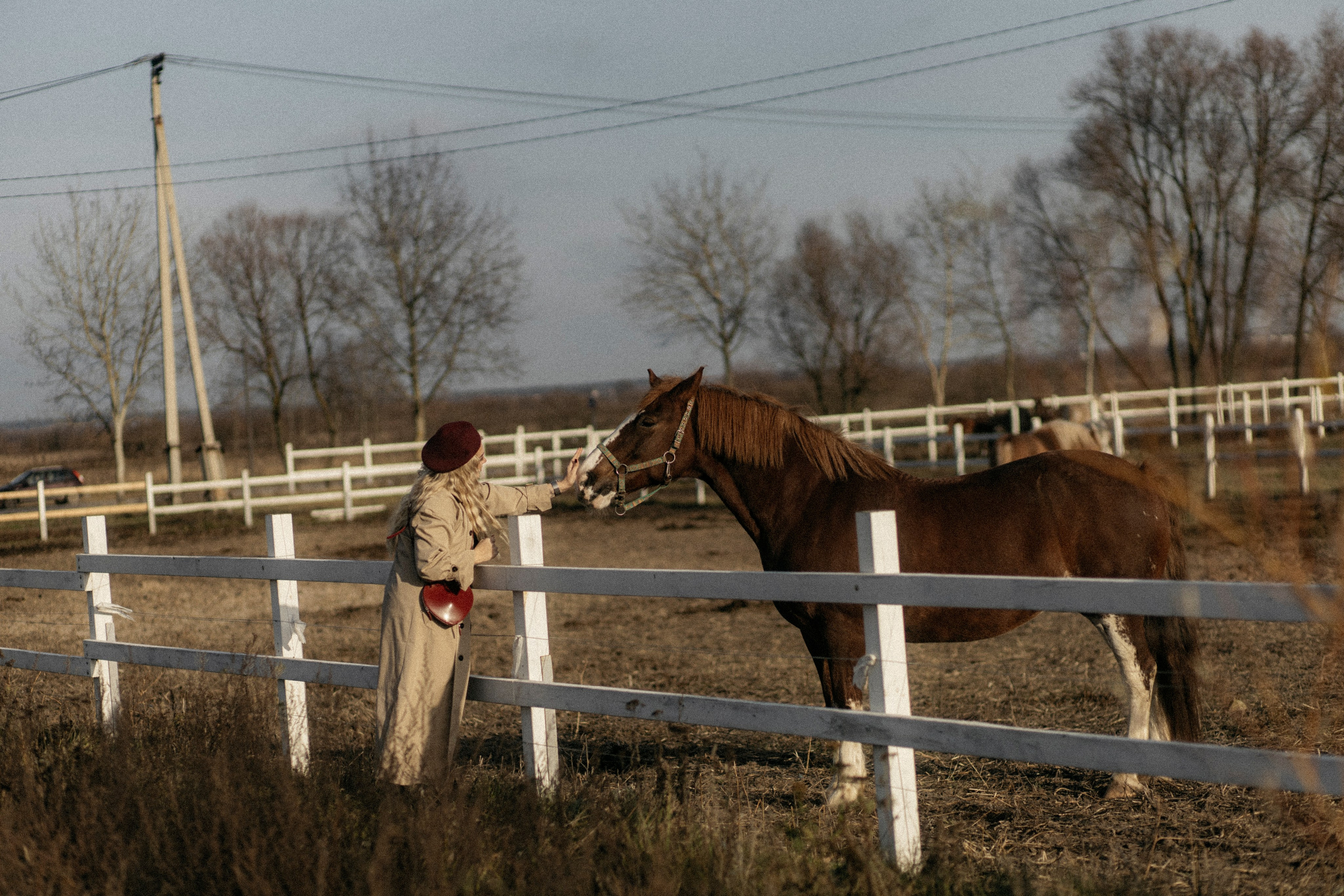 Прогулка с Еленой. Семейный и детский фотограф в Рязани Васюгова Мария