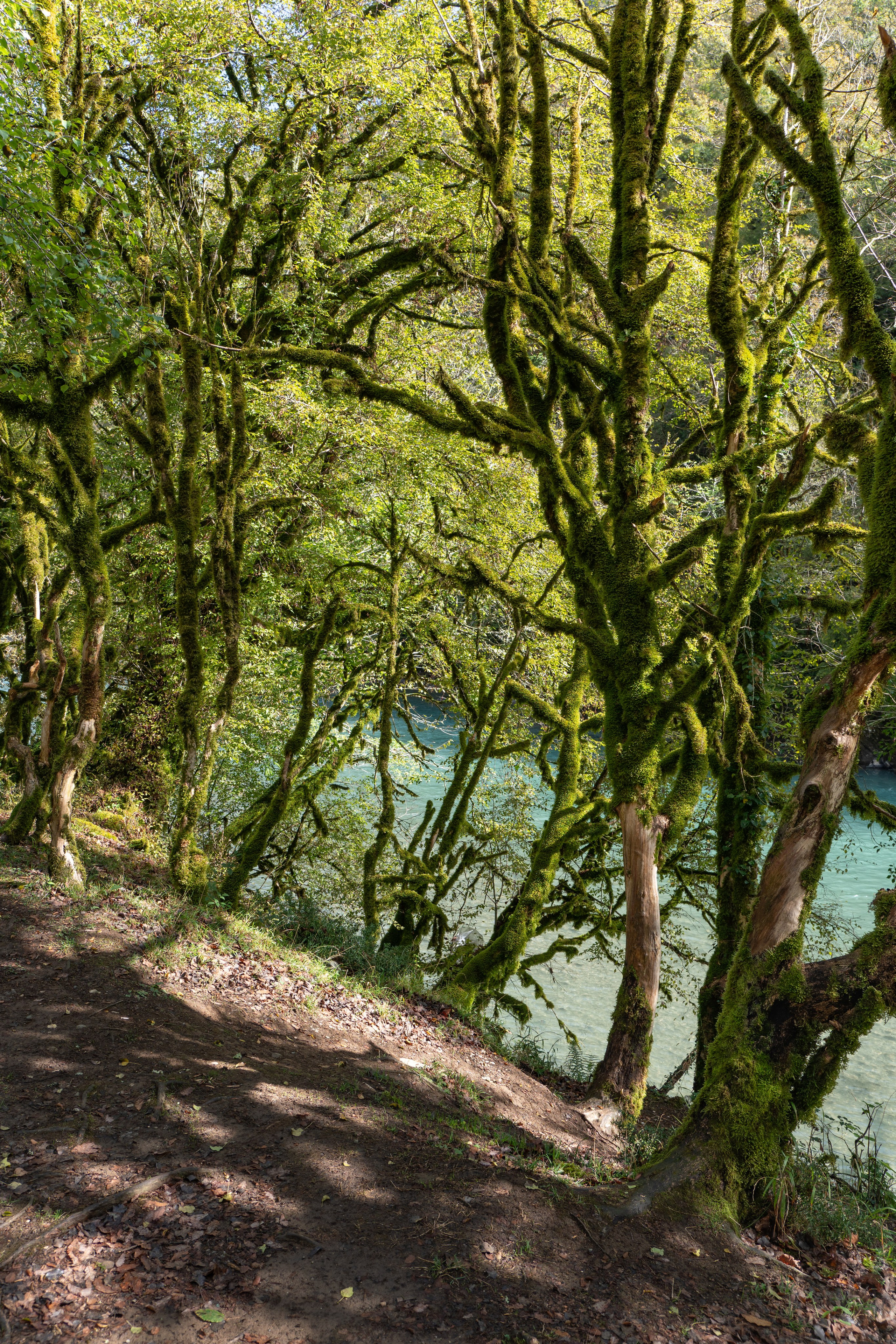 Абхазия. Gusarov Travel Photography