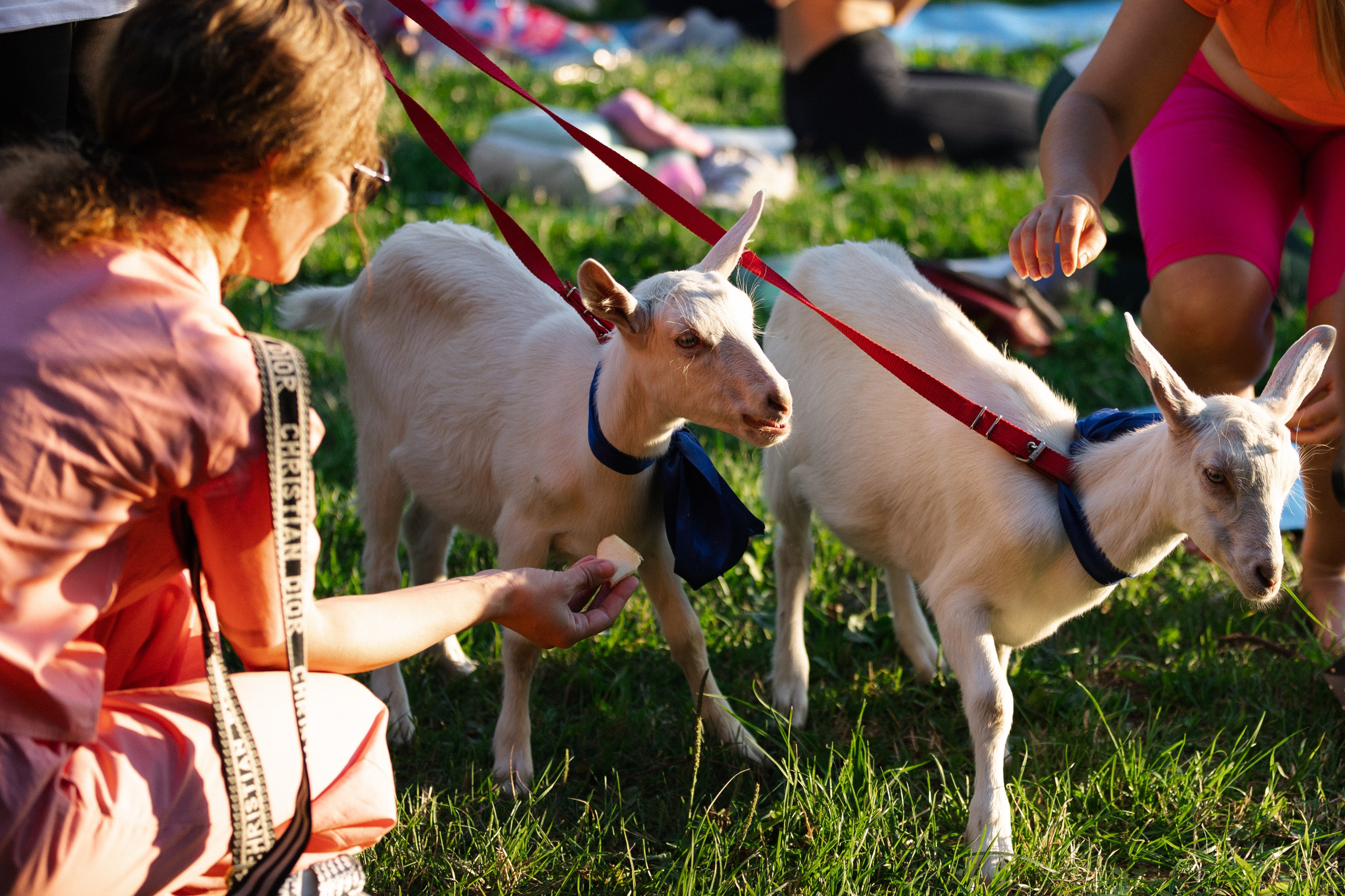 Нэннийога в парке горького. Репортажный фотограф. Свадебный фотограф в Москве Мария Крош