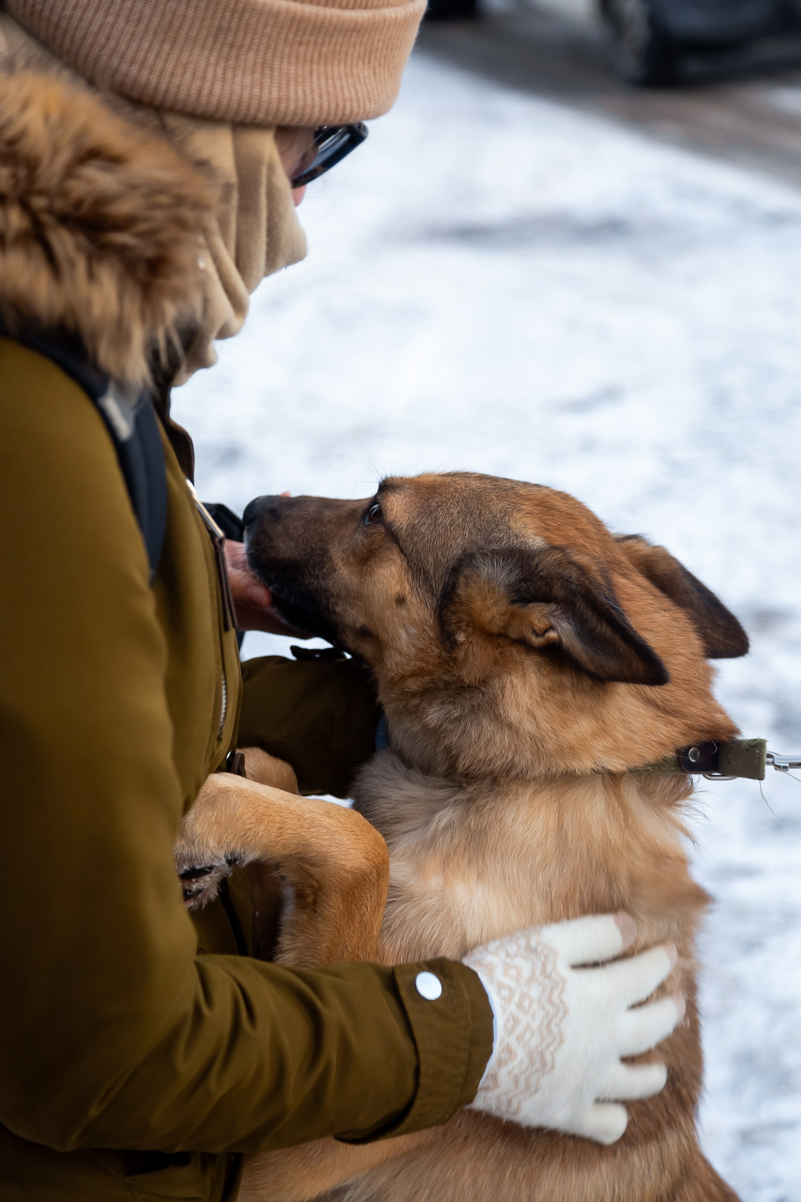 Petshop Забота. Фотограф в Санкт-Петербурге Чумаков Семен