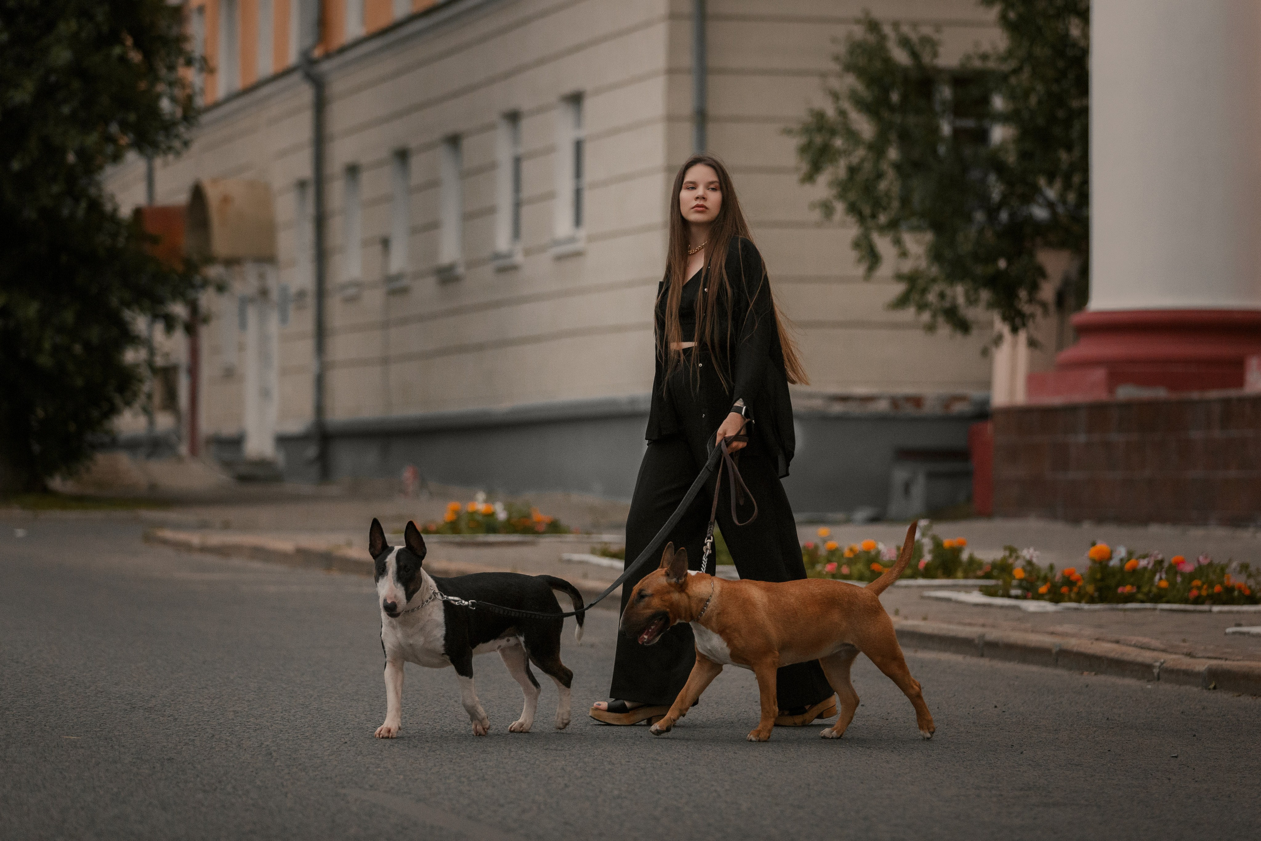 Фотосессии с вашими любимцами. Фотограф Артемьева Катерина|фотосессии с лошадьми