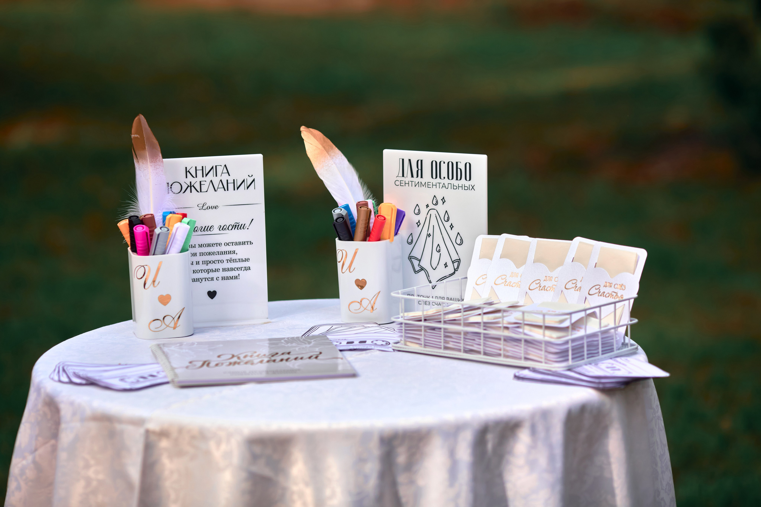 Илья и Алена. Свадебный фотограф в Тольятти Жигулевске и Самаре Пономарев Евгений