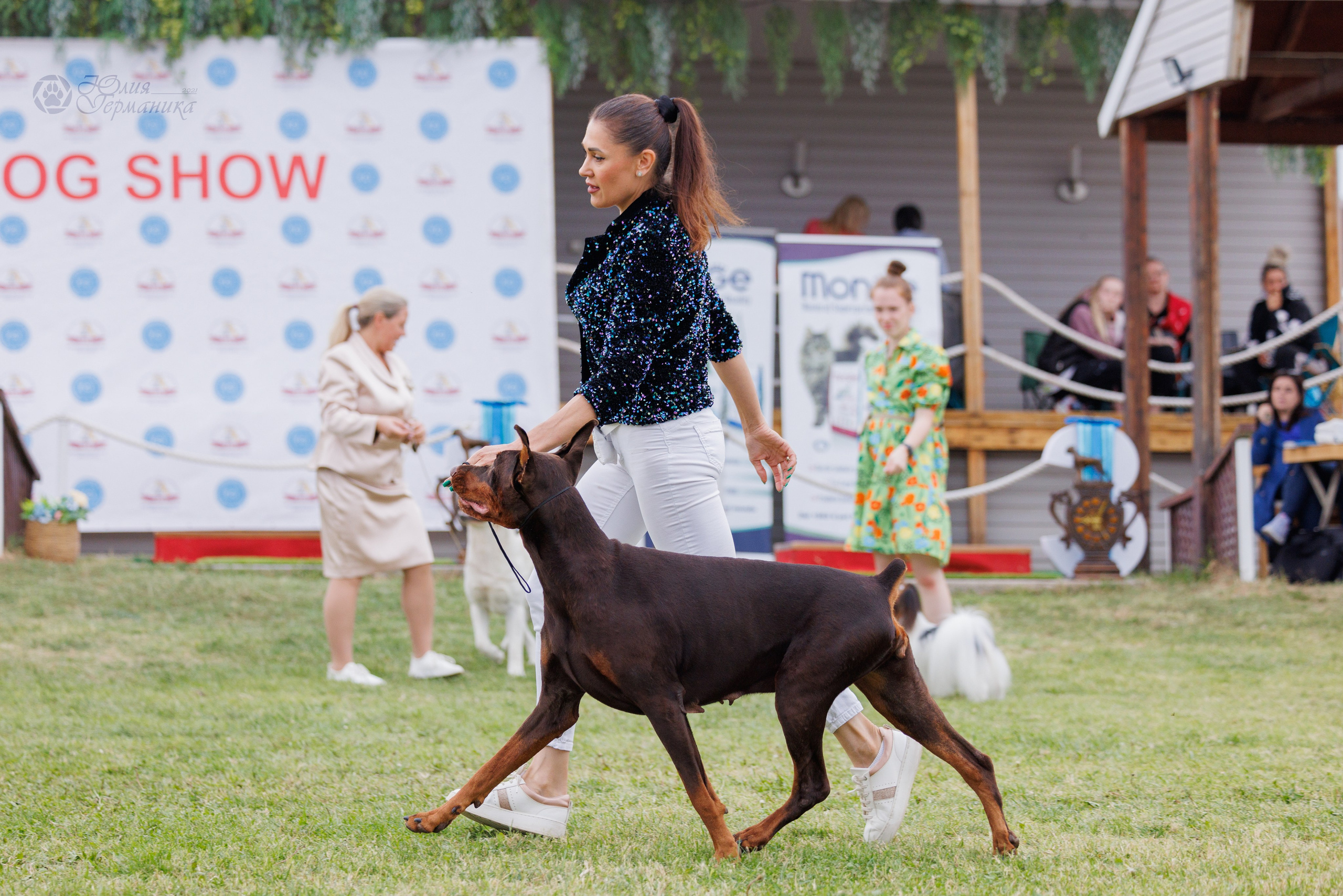 Армения,Ереван 3хCACIB 15-17.10.2024. Фотограф-анималист Юлия Германика