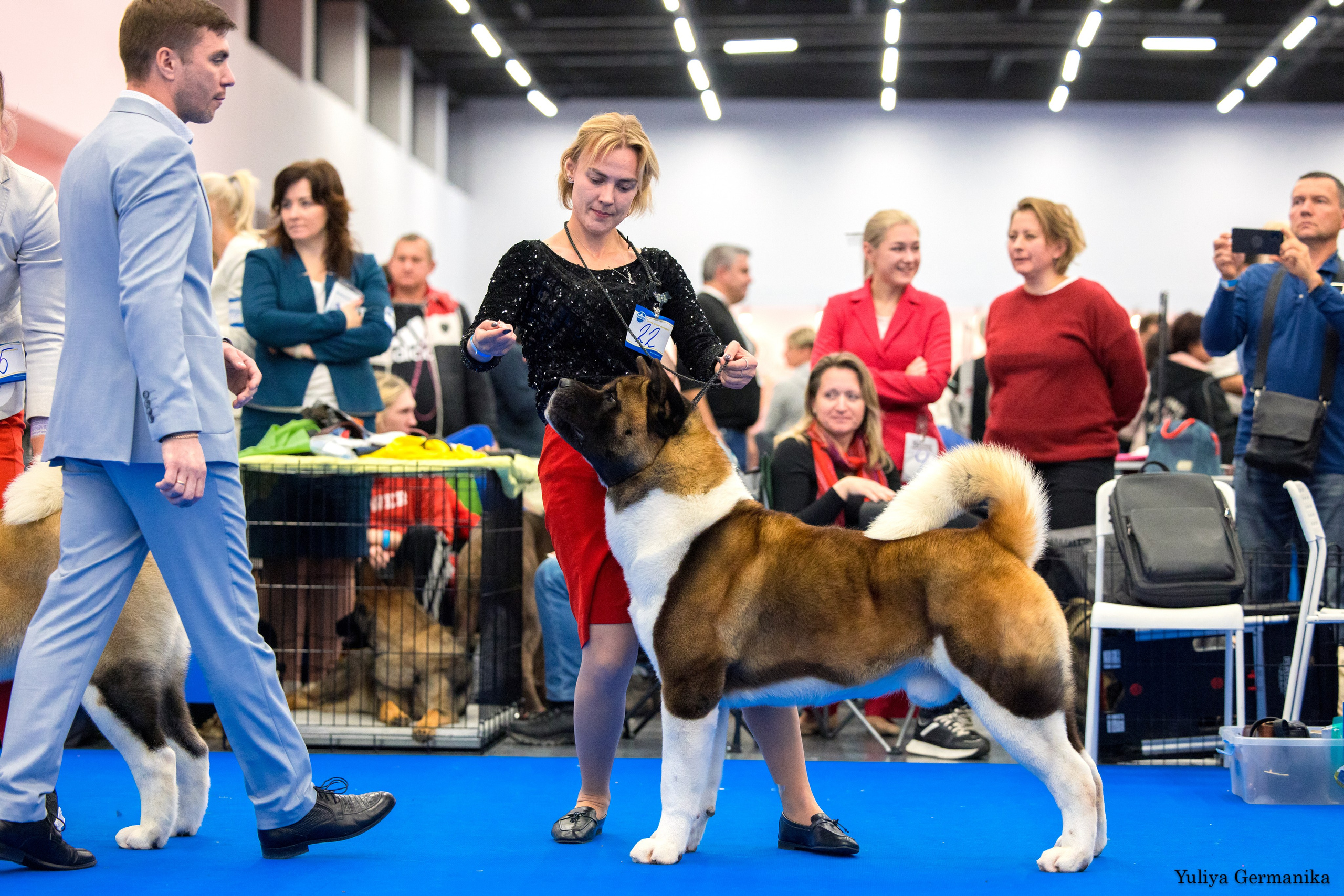 Нижний Новгород 21-22.10.2023. Фотограф-анималист Юлия Германика