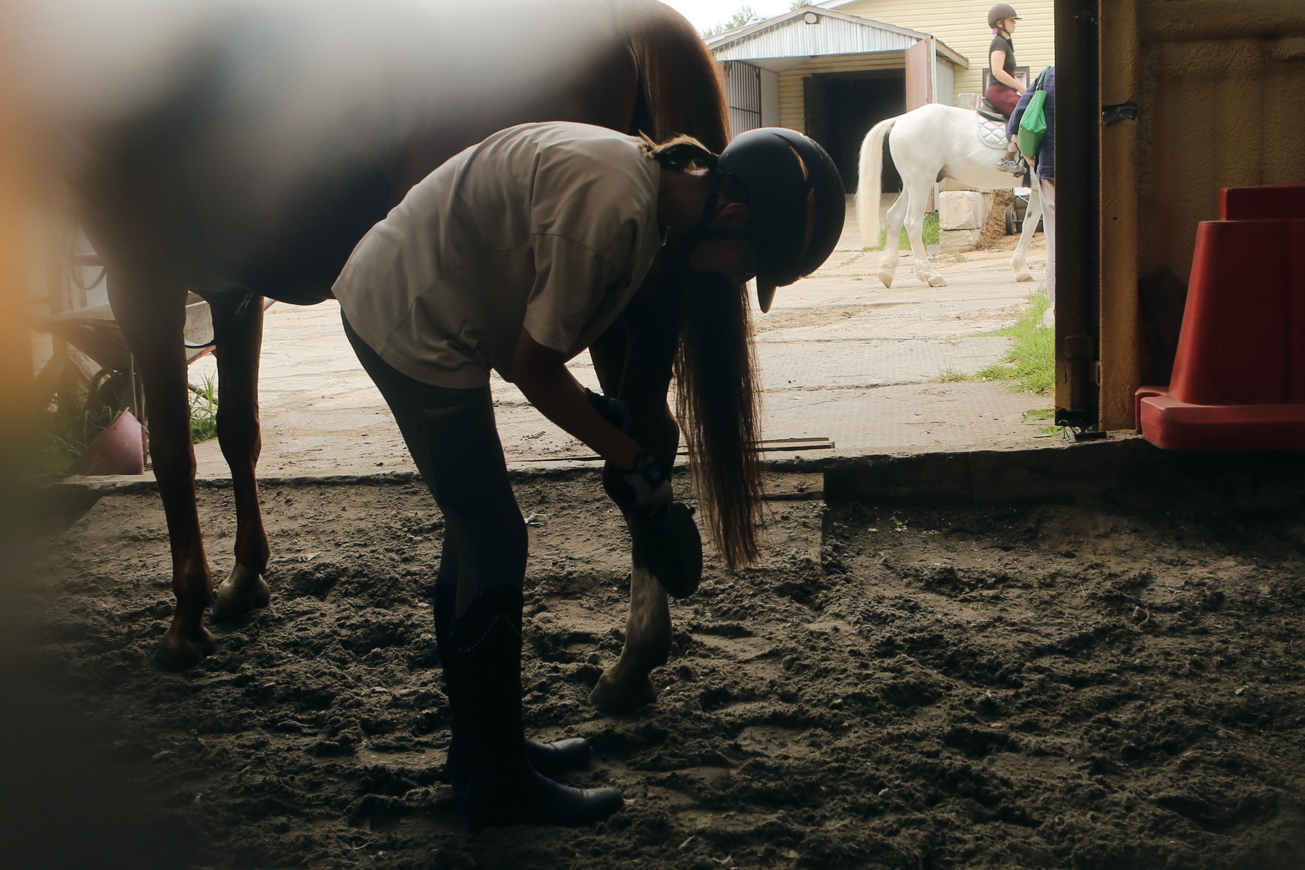 In a horse club NIMB. Фотограф Антонина Гудкова