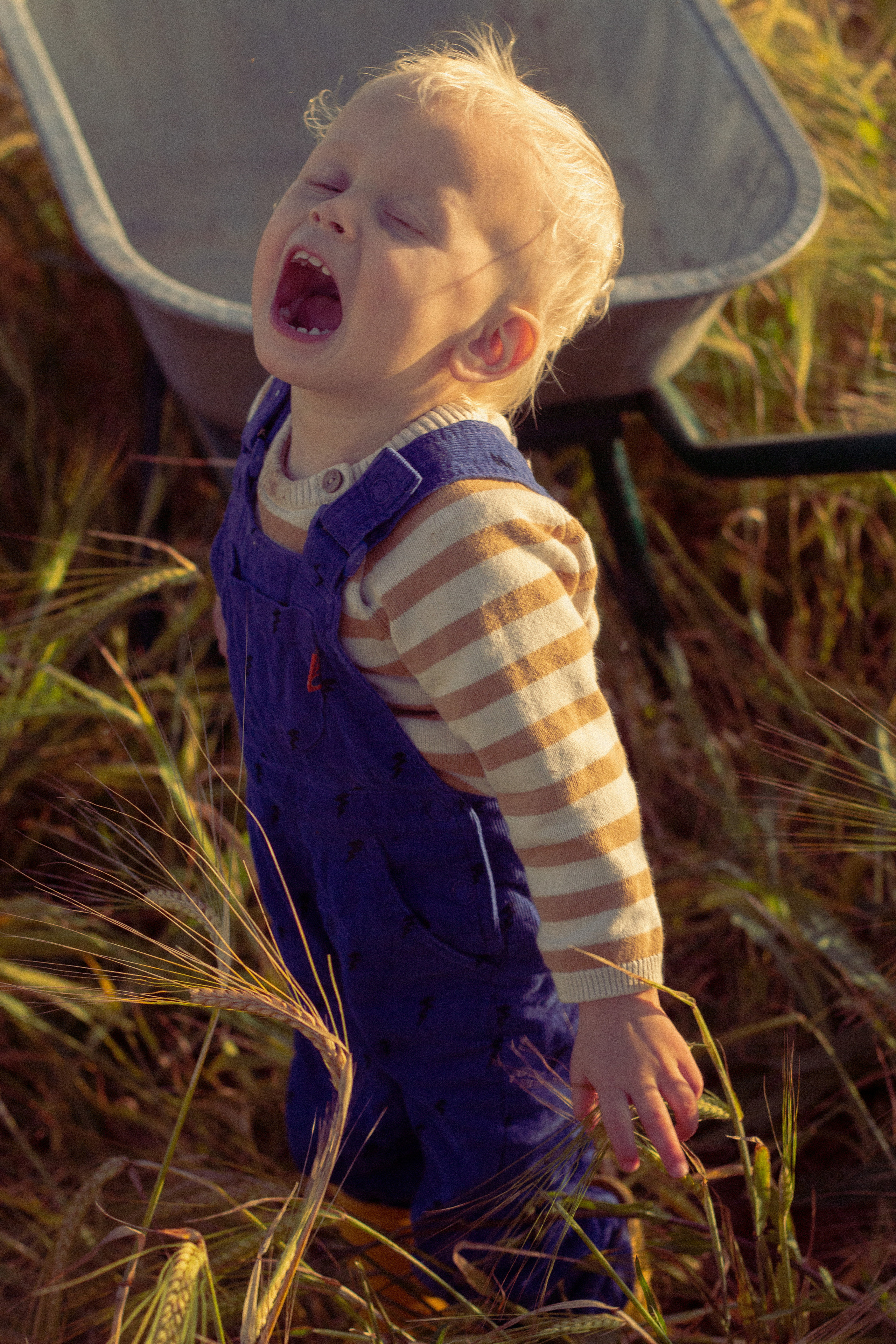 Egor and Matthew. Главная