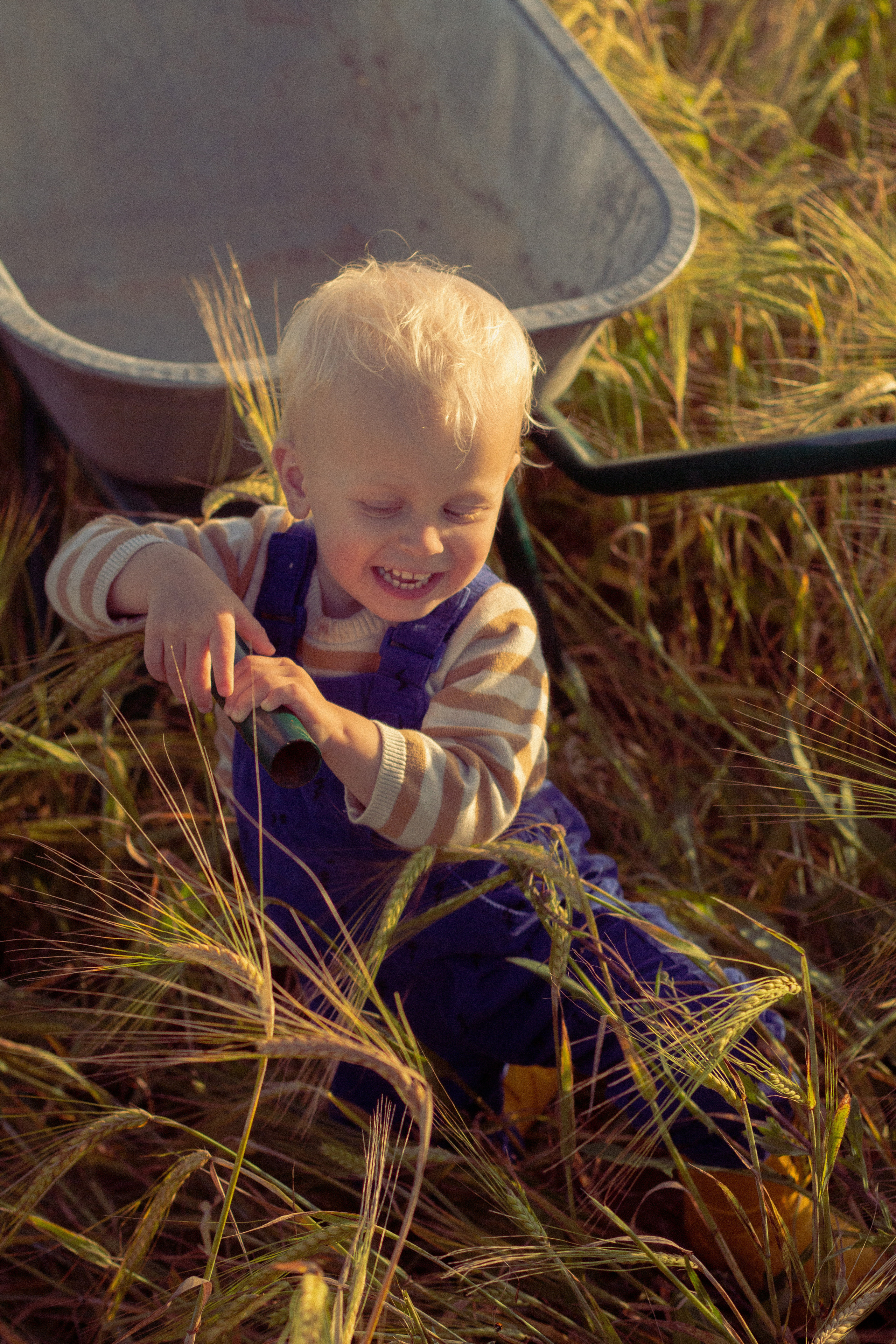 Egor and Matthew. Главная