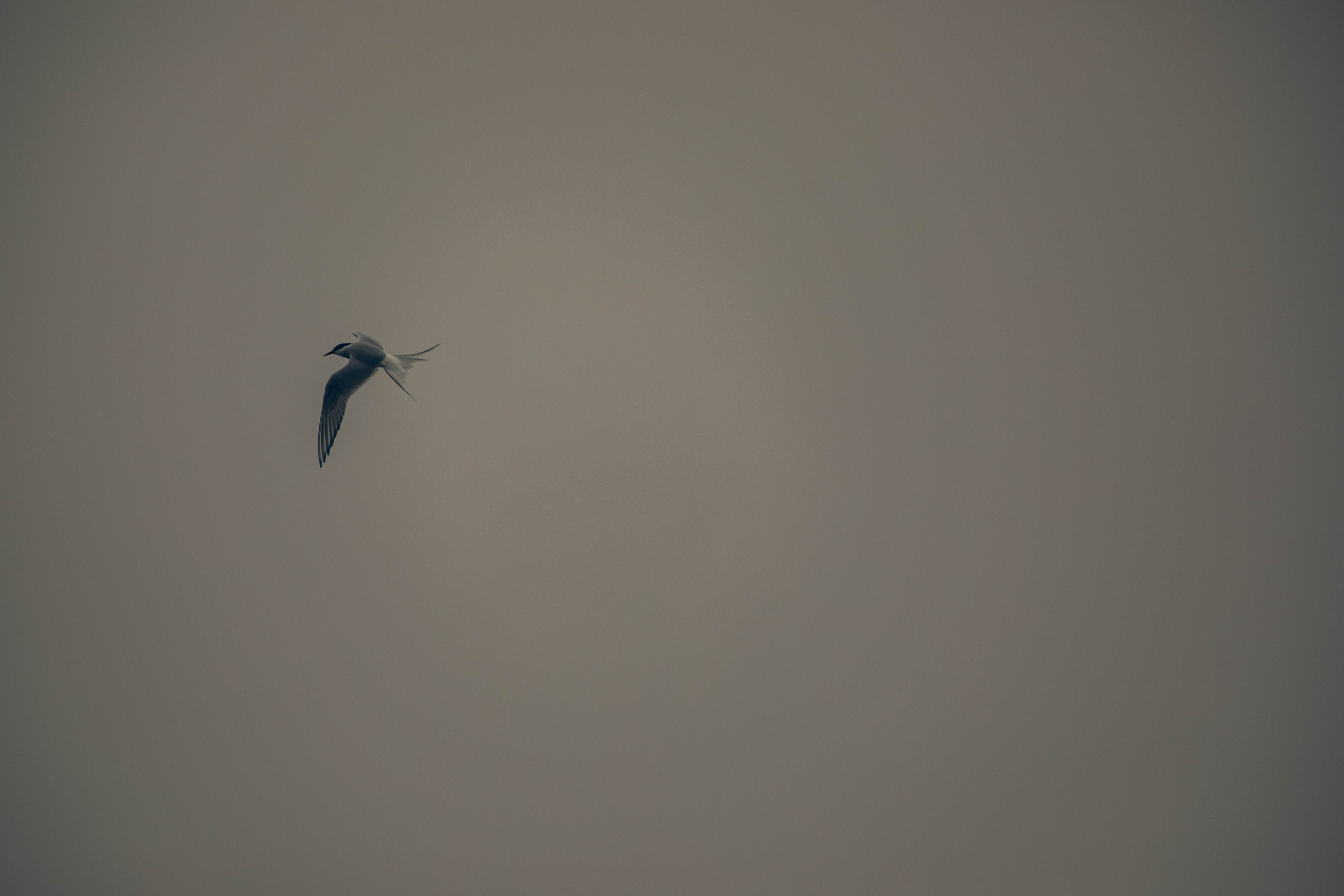 Кольский полуостров. Фотографирую для себя, своей семьи и друзей!