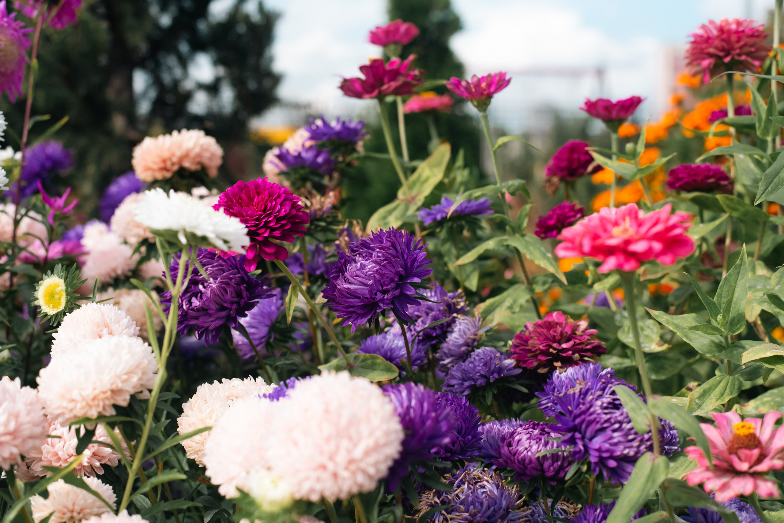 Храм Андрея Боголюбского, служба с участием войск РХБ защиты. Фотограф, визажист. Москва