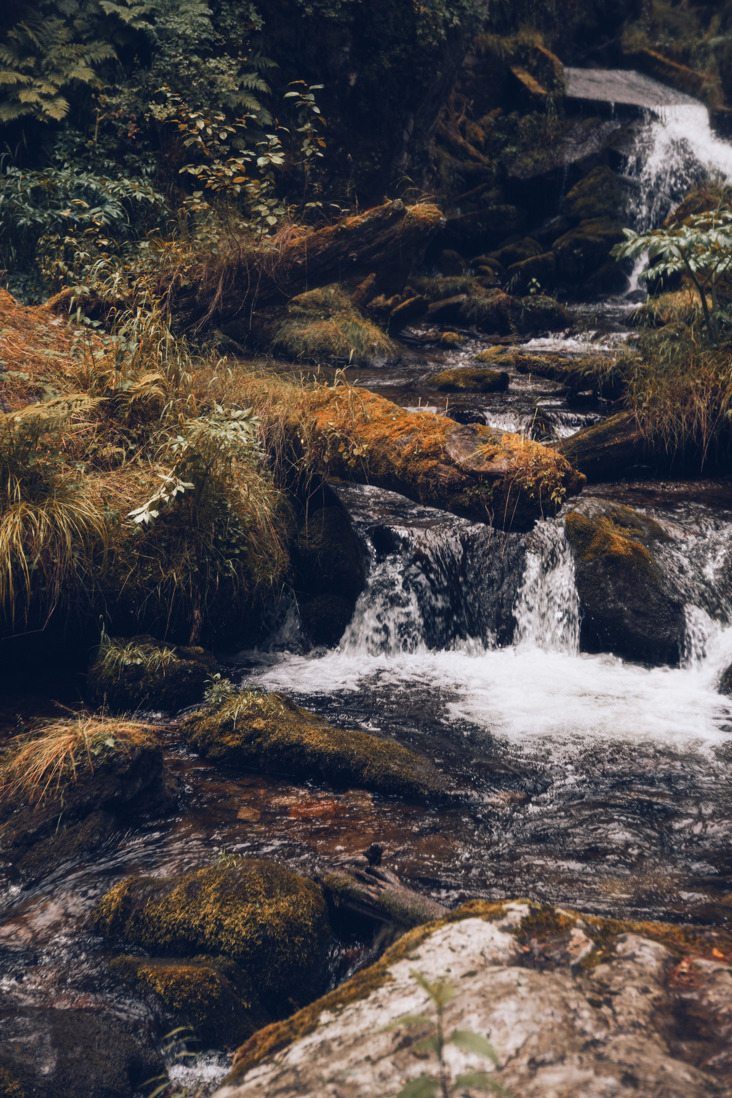 Алтай. Gusarov Travel Photography