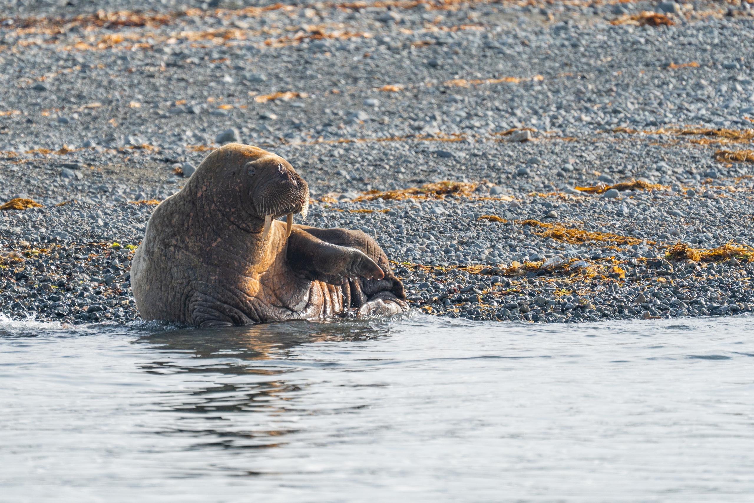Чукотка. Gusarov Travel Photography